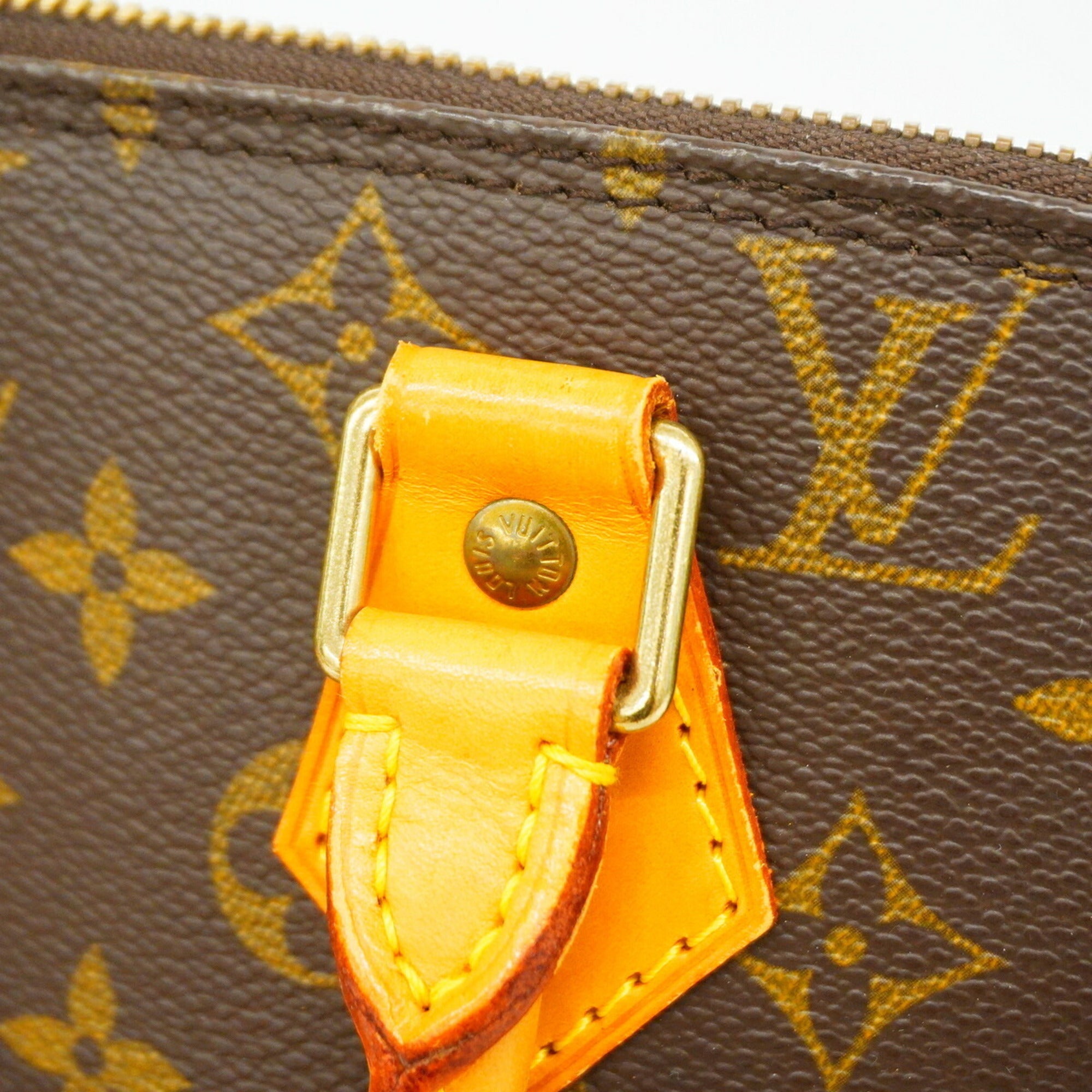 Louis Vuitton Brown Handbag (Pre-Owned)