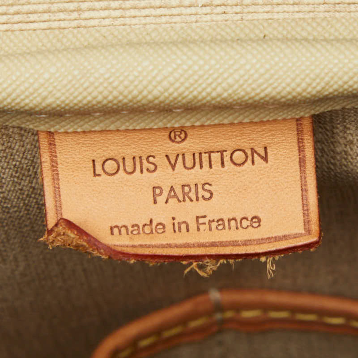 Louis Vuitton Brown Monogram Pvc Leather Handbag (Pre-Owned)