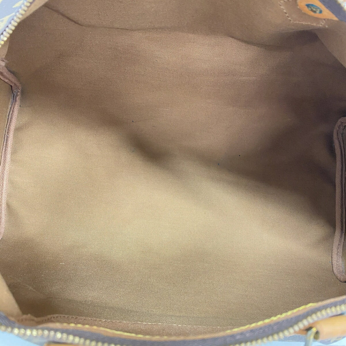 Louis Vuitton Brown Handbag (Pre-Owned)