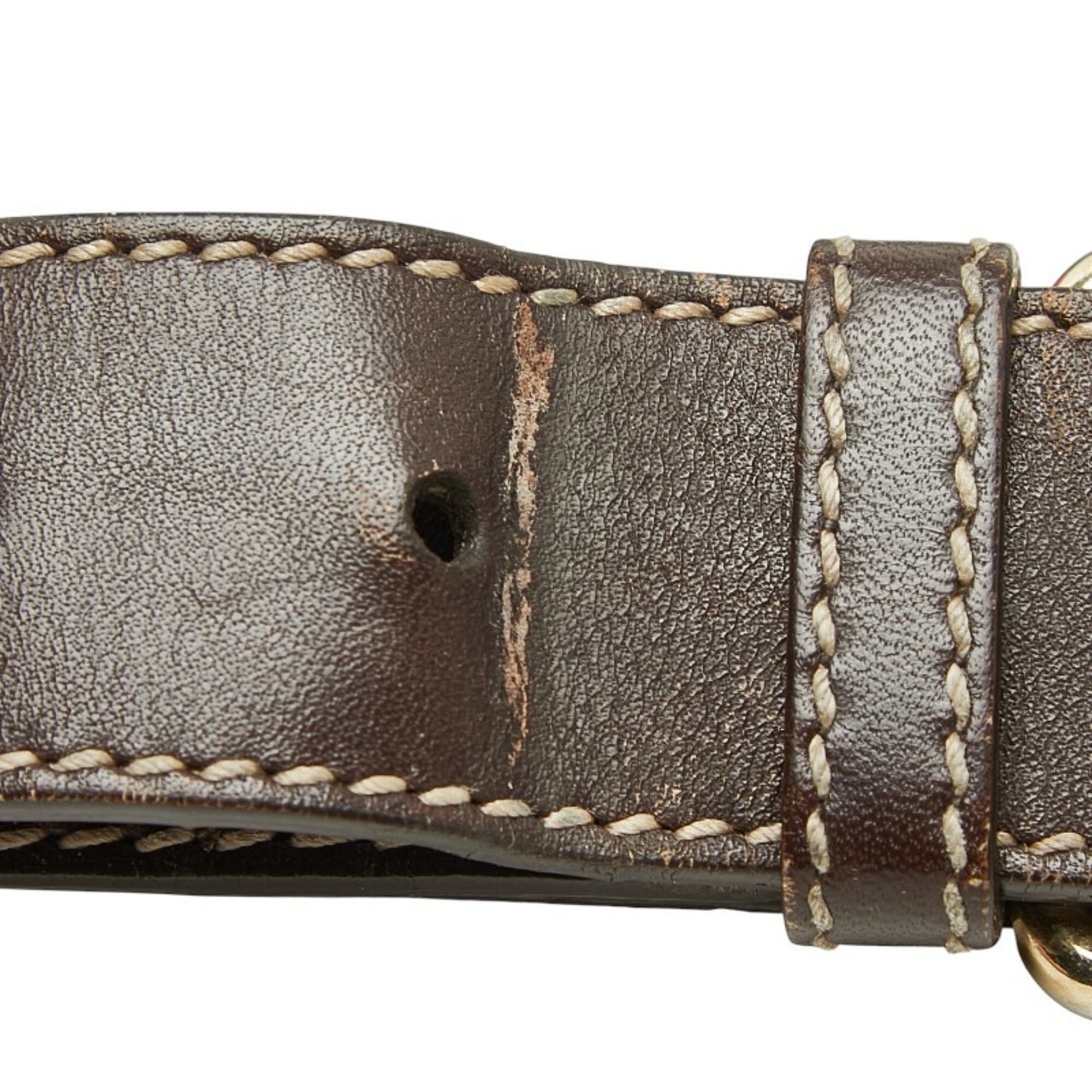 Gucci Beige Brown Leather Pvc Messenger Bag (Pre-Owned)