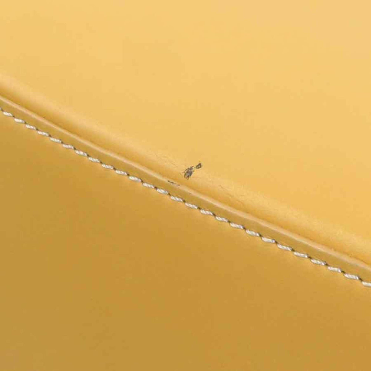Loewe Yellow Leather Backpack (Pre-Owned)