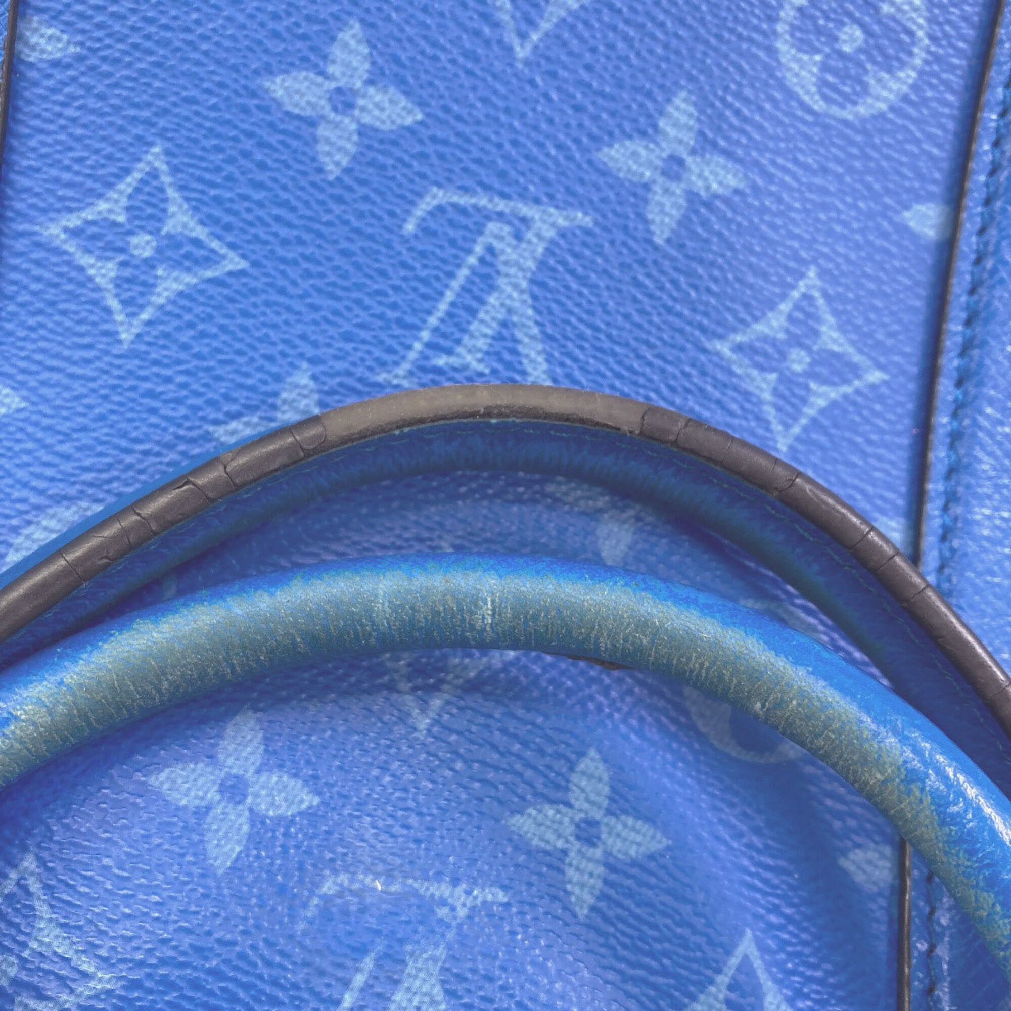 Louis Vuitton Taigarama Taiga Leather Handbag Tote Bag (Pre-Owned)