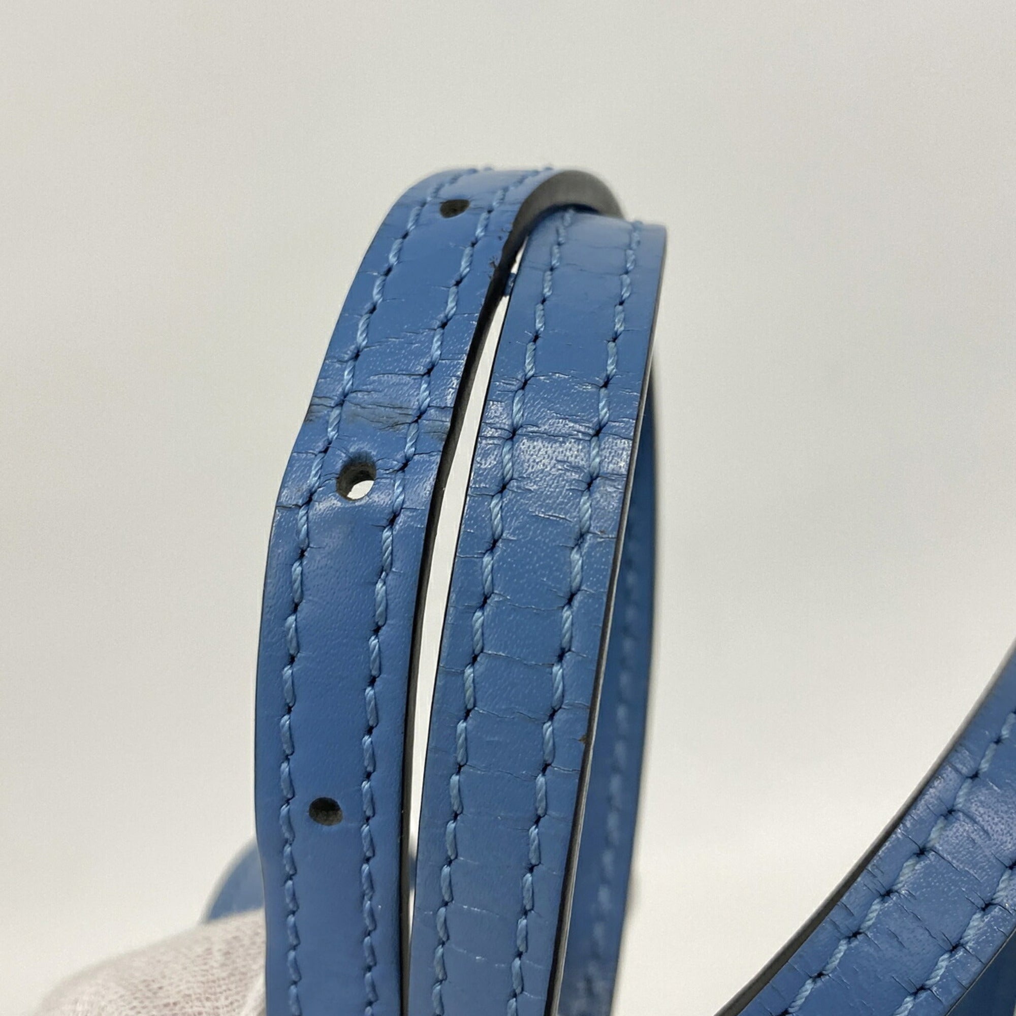 Louis Vuitton Blue Jean Handbag (Pre-Owned)