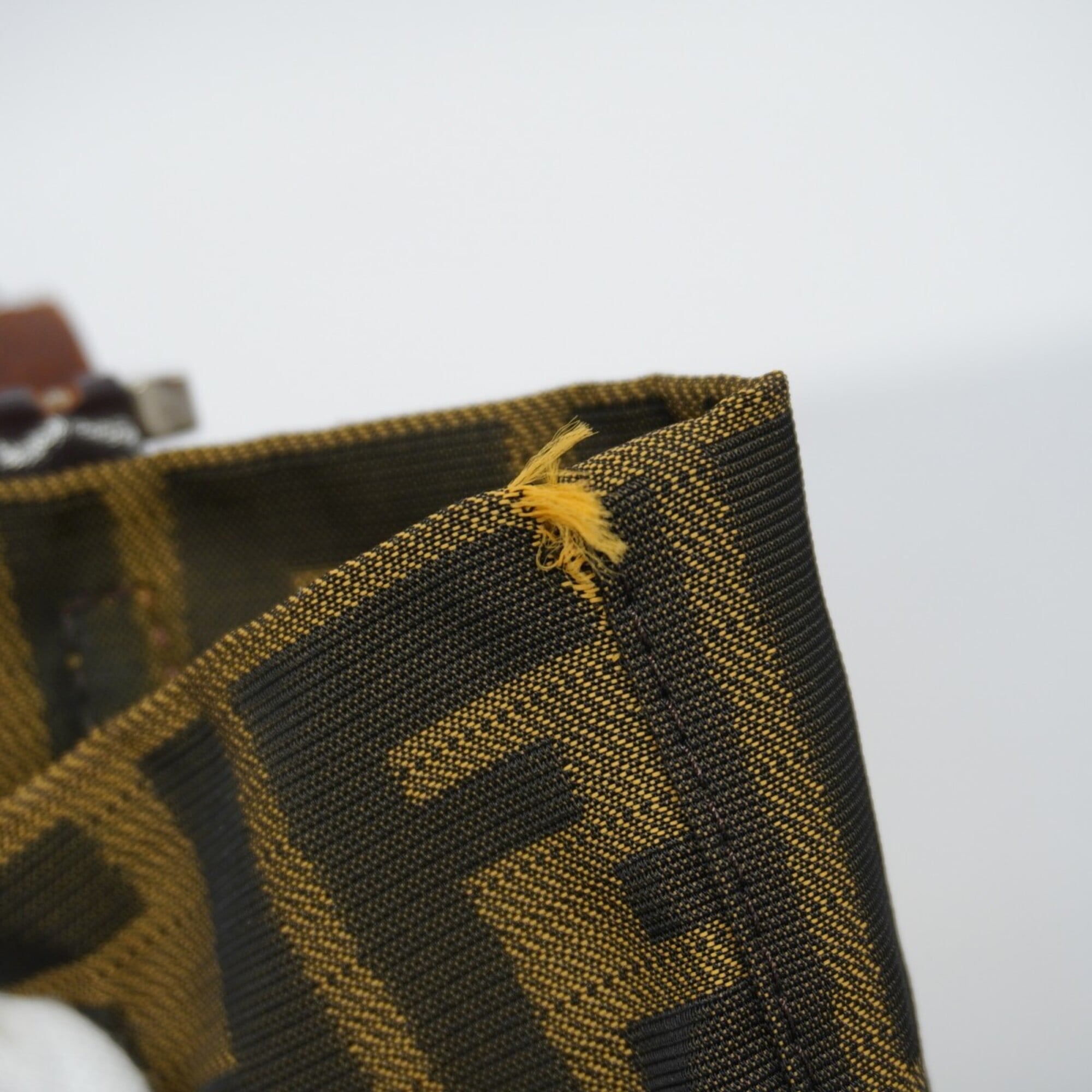 Fendi Brown Nylon Canvas Tote Bag (Pre-Owned)