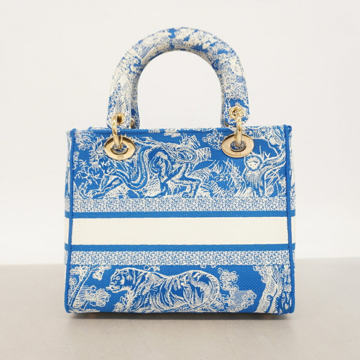 Christian Dior Blue White Canvas Handbag (Pre-Owned)