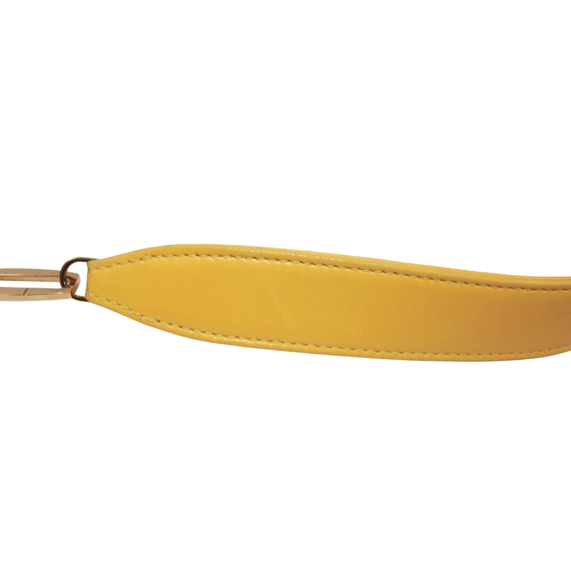 Loewe Yellow Leather Shoulder Bag (Pre-Owned)