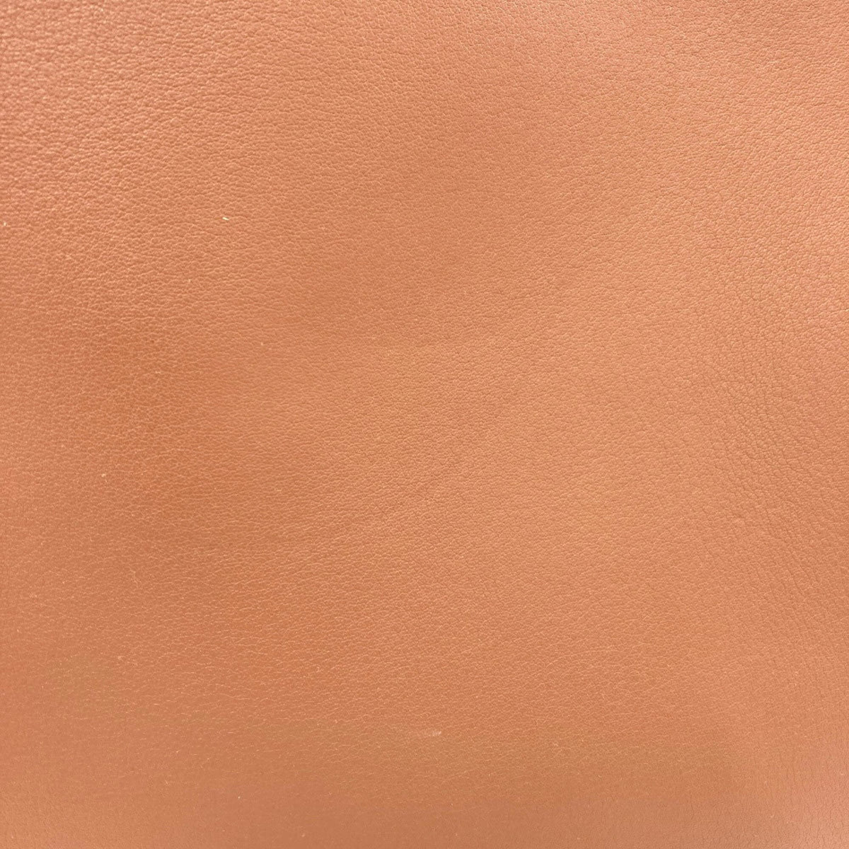 Loewe Brown Leather Tote Bag (Pre-Owned)