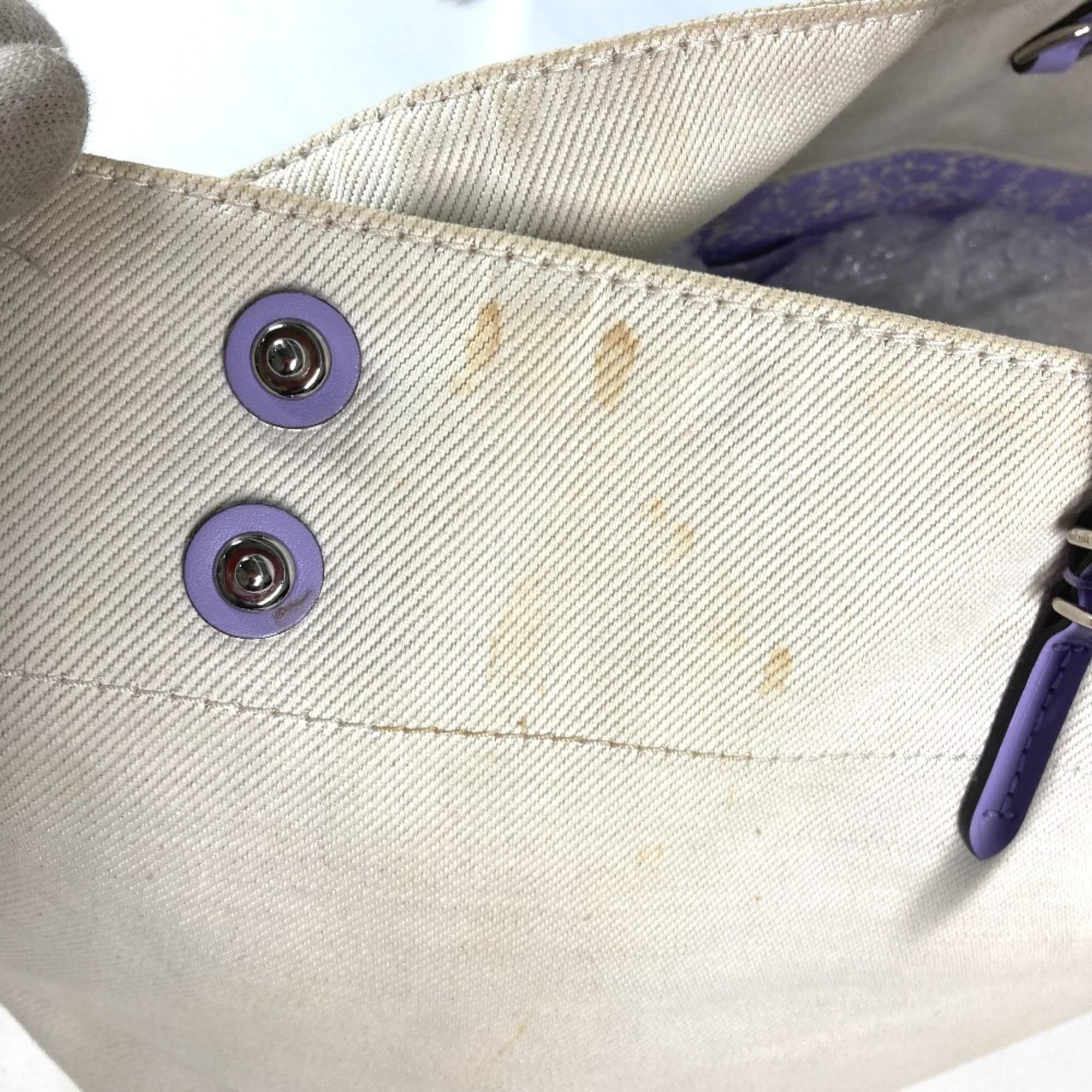 Louis Vuitton Beige Lilac Purple Leather Canvas Shoulder Bag (Pre-Owned)