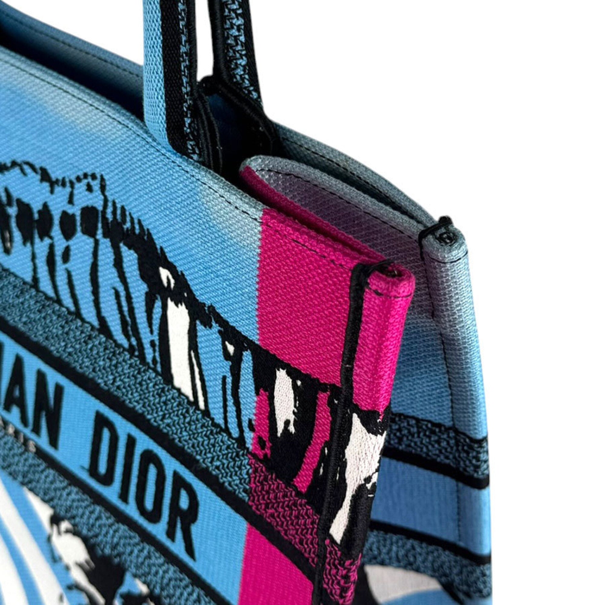 Christian Dior Black Blue Pink Canvas Handbag (Pre-Owned)
