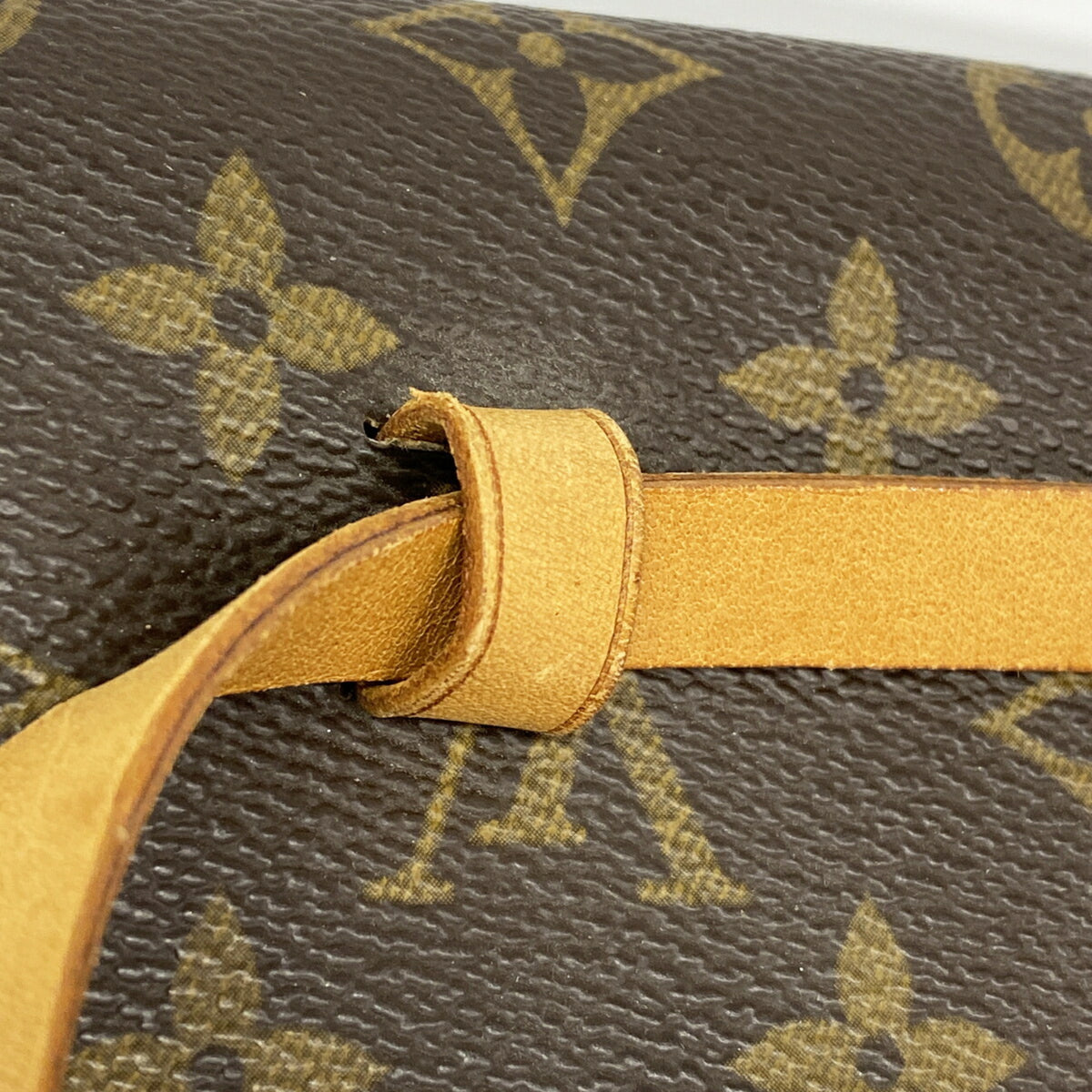 Louis Vuitton Brown Fanny Pack (Pre-Owned)