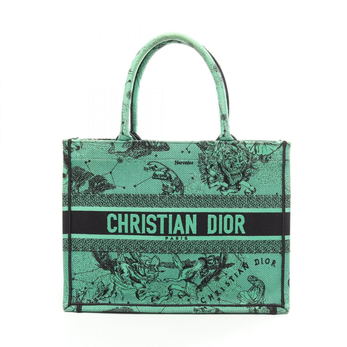 Christian Dior Black Green Canvas Handbag Tote Bag (Pre-Owned)