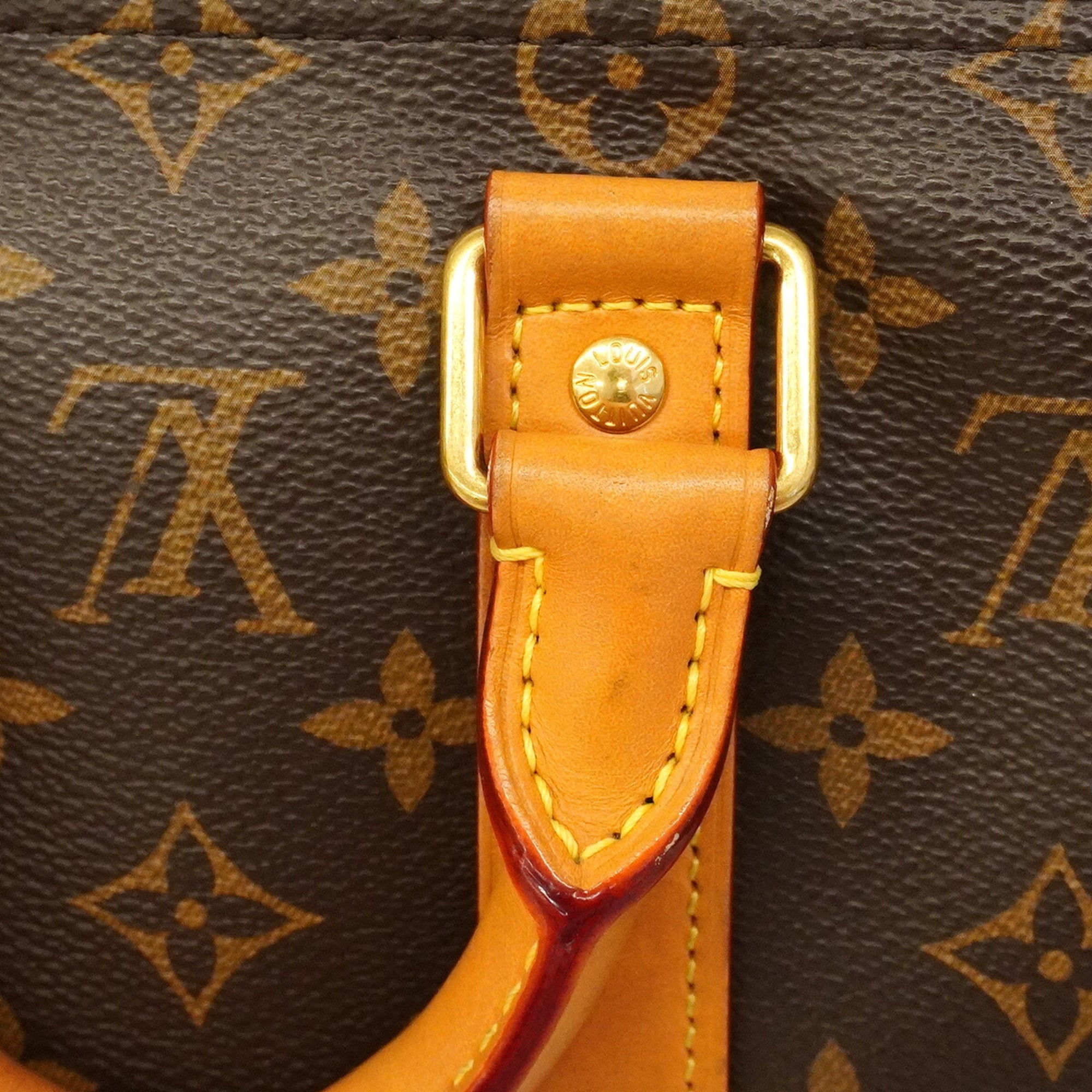 Louis Vuitton Brown Handbag (Pre-Owned)