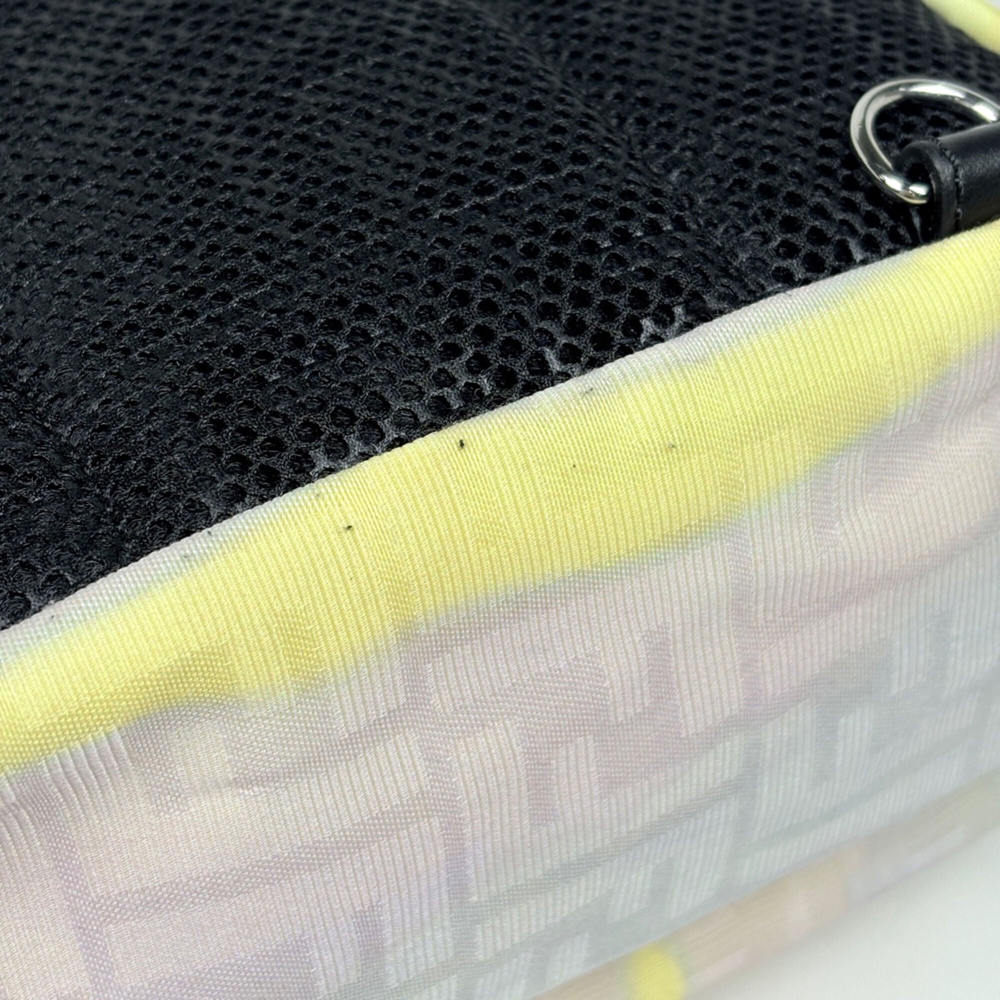 Fendi Multi-Color Nylon Leather Backpack (Pre-Owned)