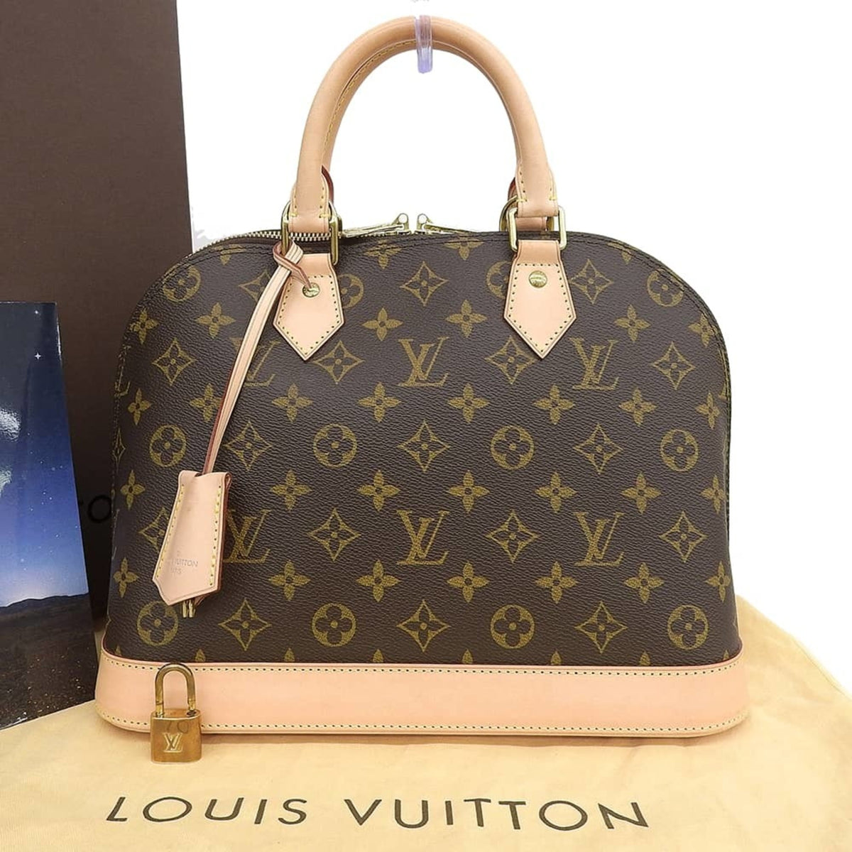 Louis Vuitton Monogram Pvc Leather Handbag (Pre-Owned)