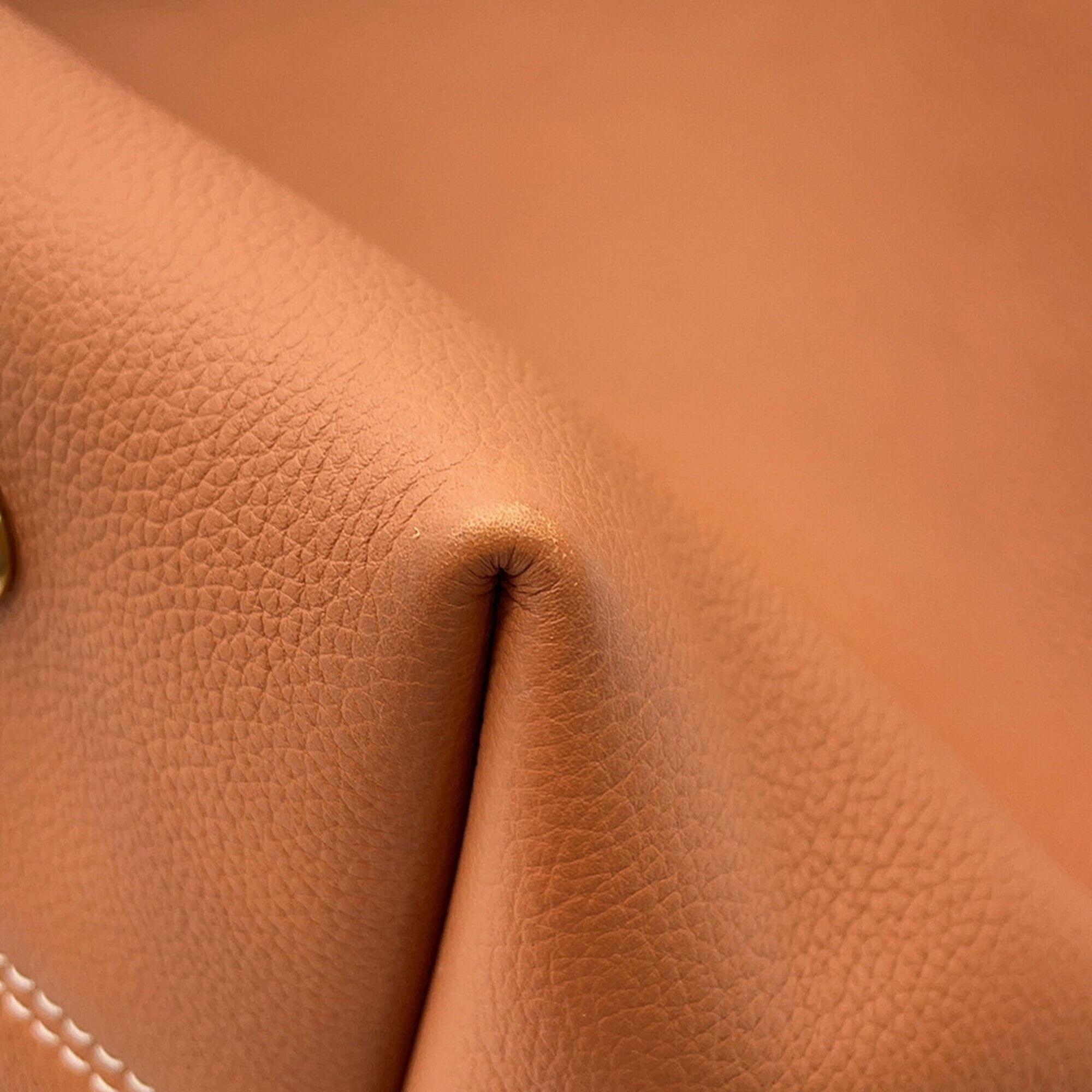 Louis Vuitton Cognac Leather Handbag Pouch Shoulder Bag (Pre-Owned)