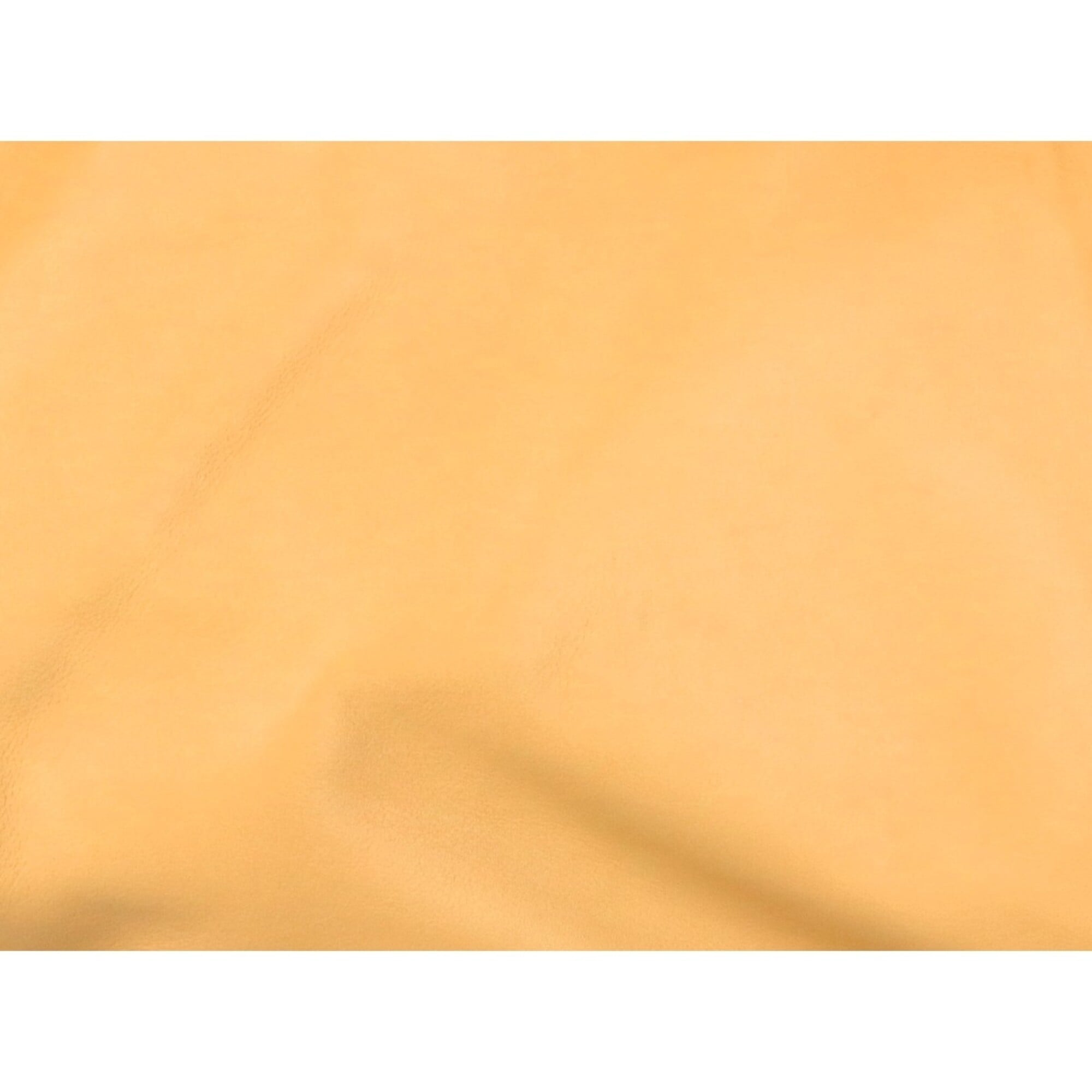 Bottega Veneta Beige Yellow Leather Handbag (Pre-Owned)