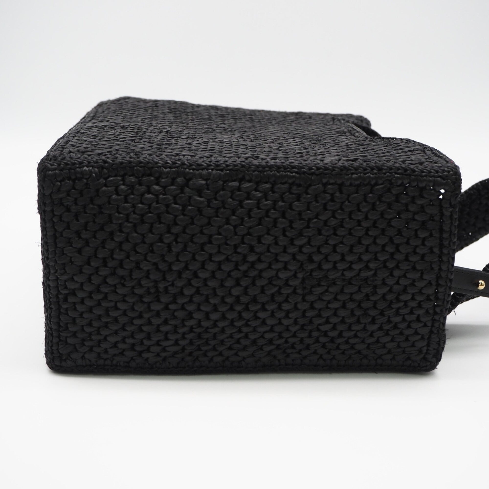 Loewe Black White Raffia Leather Handbag (Pre-Owned)