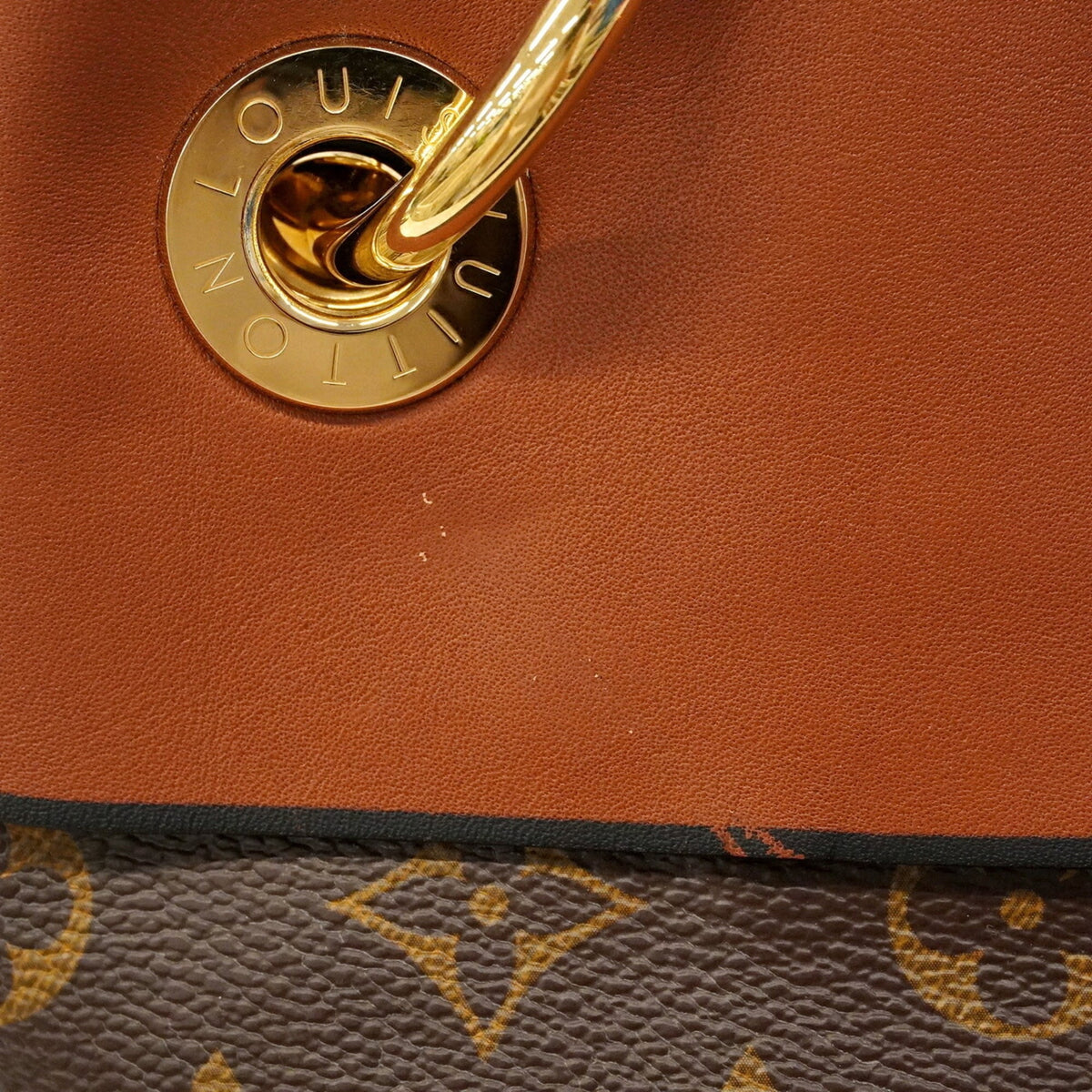 Louis Vuitton Caramel Handbag (Pre-Owned)