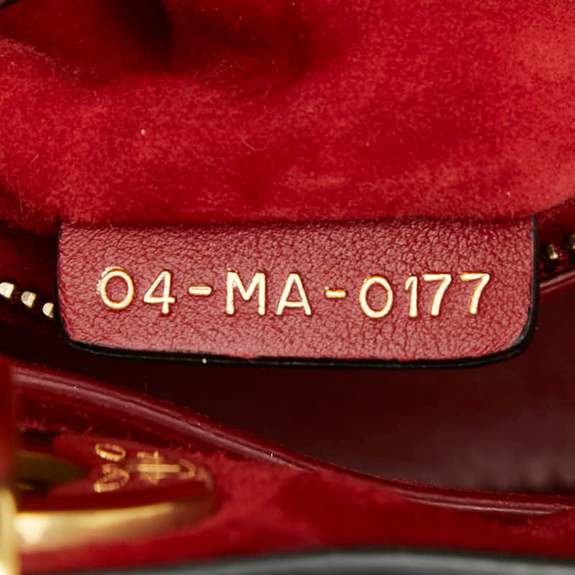 Christian Dior Red Color Leather Handbag Shoulder Bag (Pre-Owned)