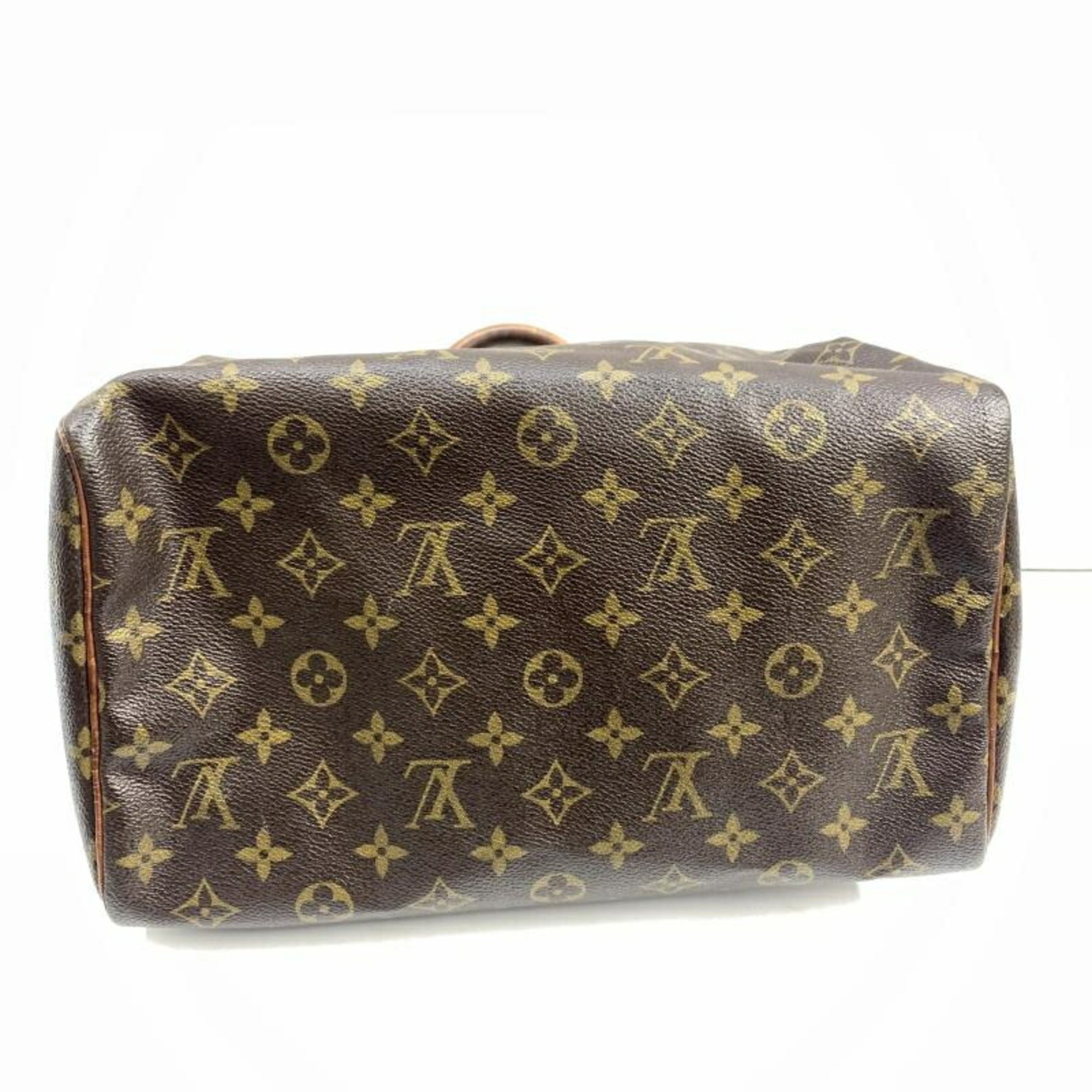 Louis Vuitton Handbag (Pre-Owned)