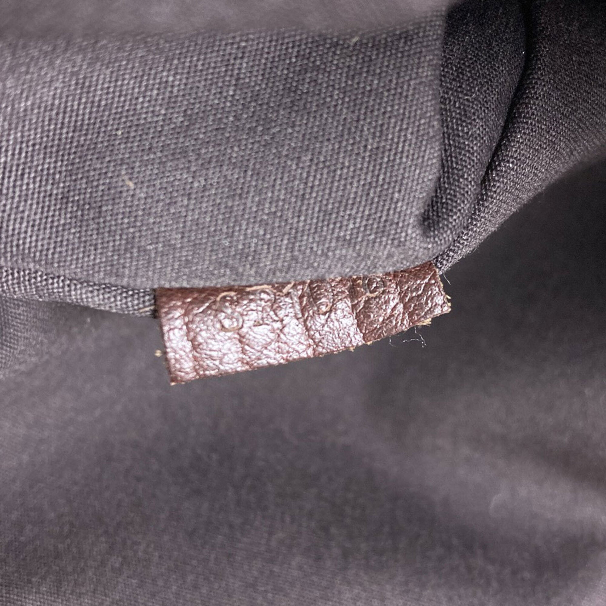 Louis Vuitton Monogram Mini Lin Ebene Monogram Mini Lin Tote Bag (Pre-Owned)