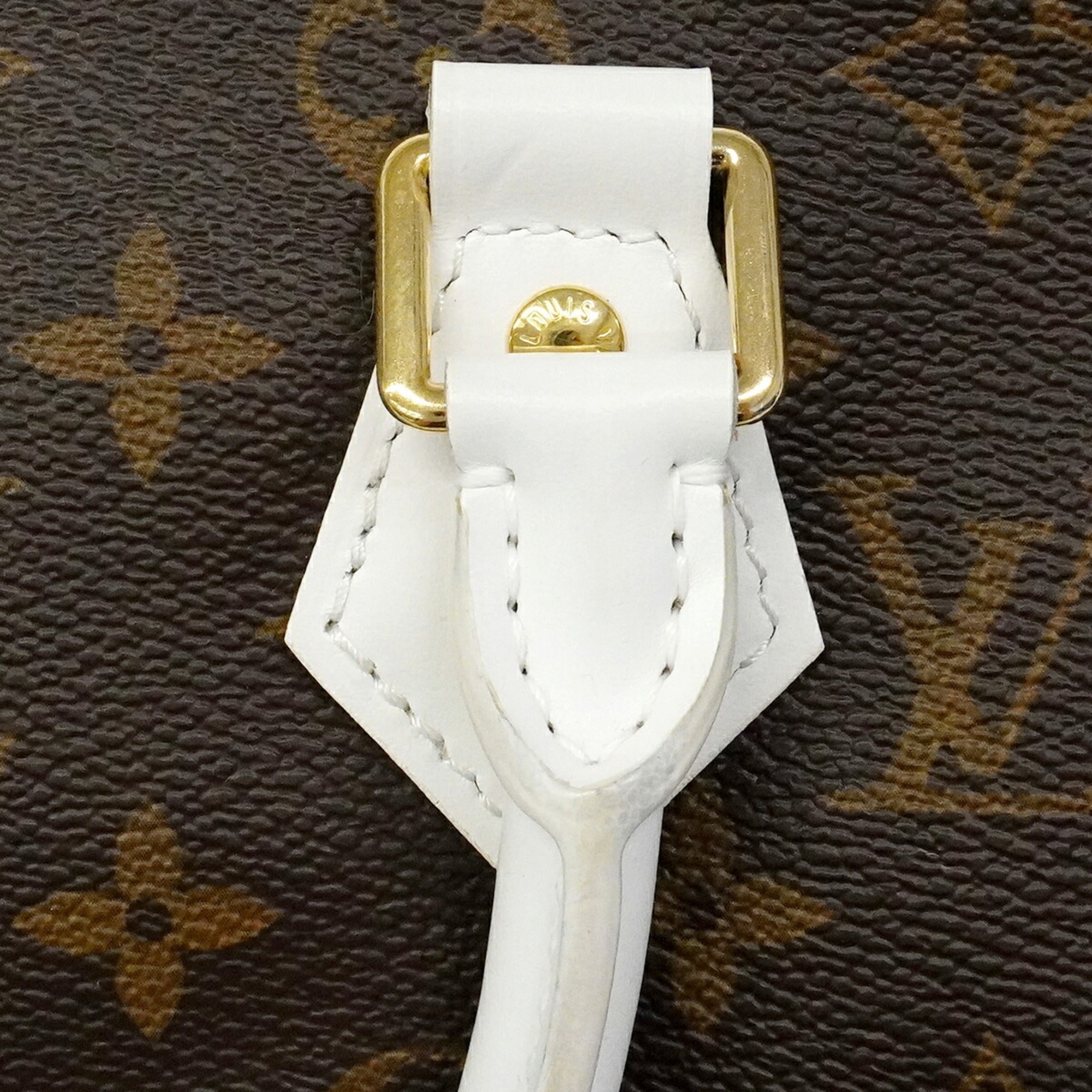 Louis Vuitton Brown Handbag (Pre-Owned)