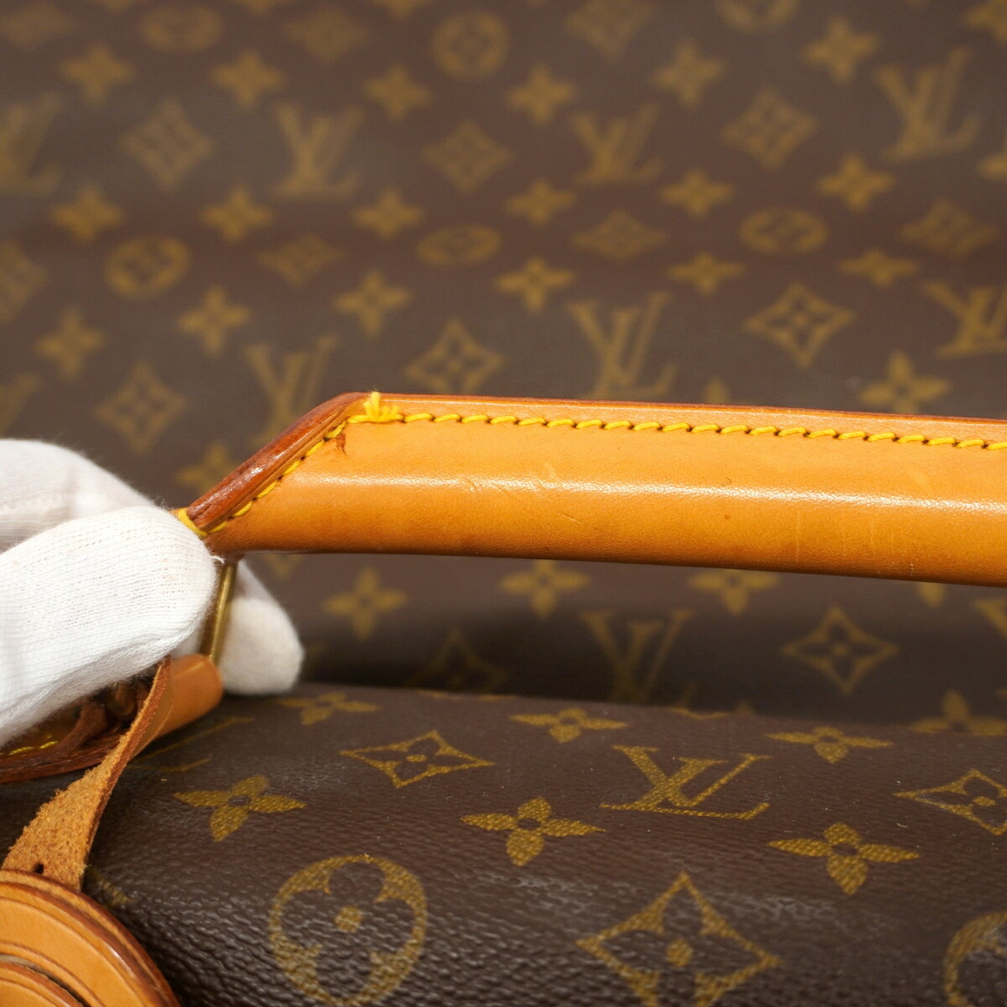 Louis Vuitton Brown Garment Case (Pre-Owned)