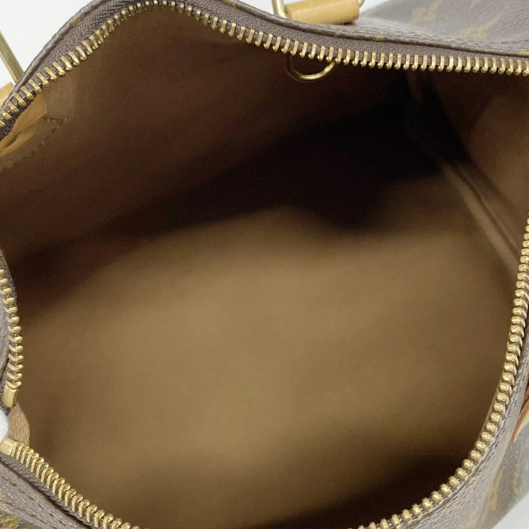 Louis Vuitton Brown Handbag (Pre-Owned)