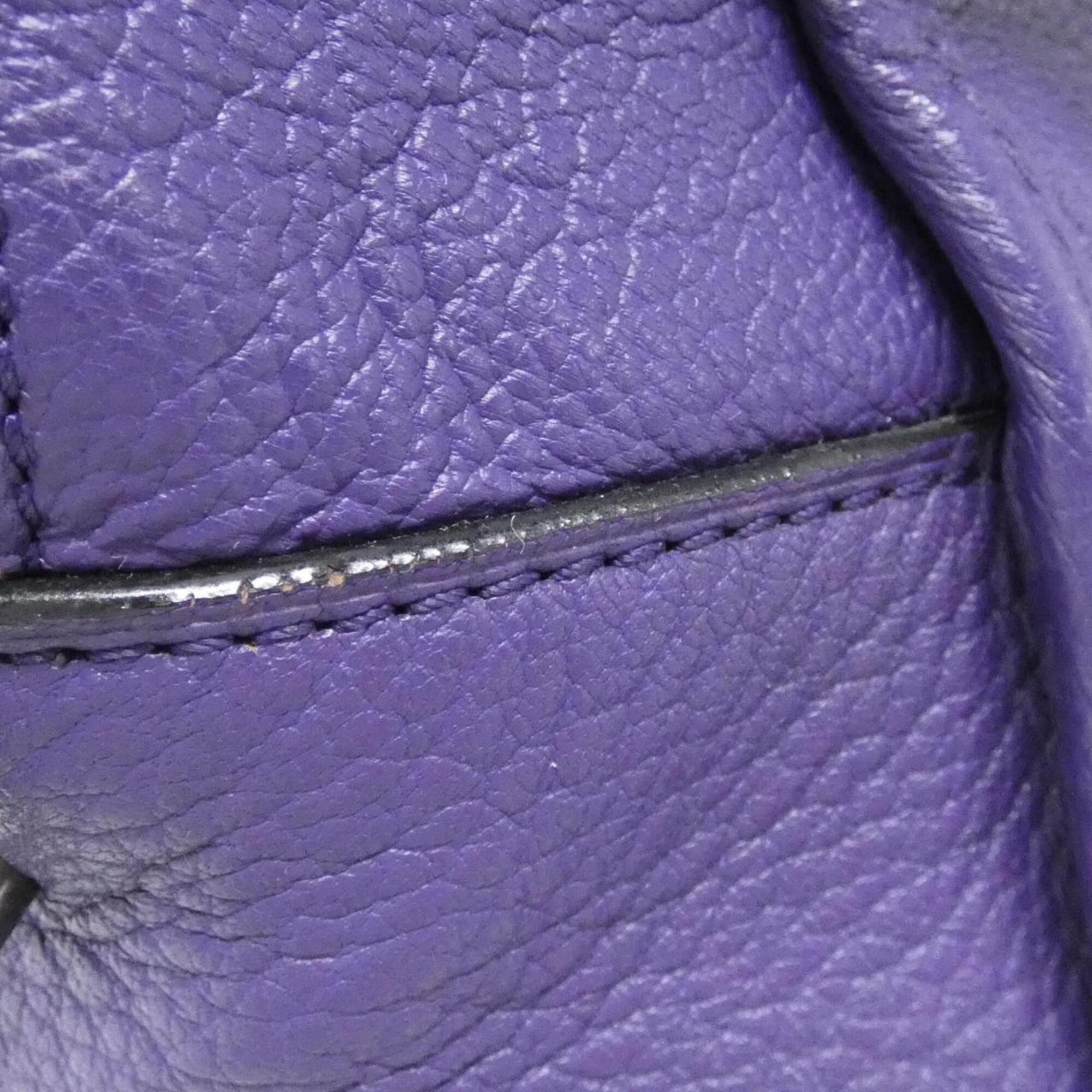Loewe Purple Leather Handbag (Pre-Owned)