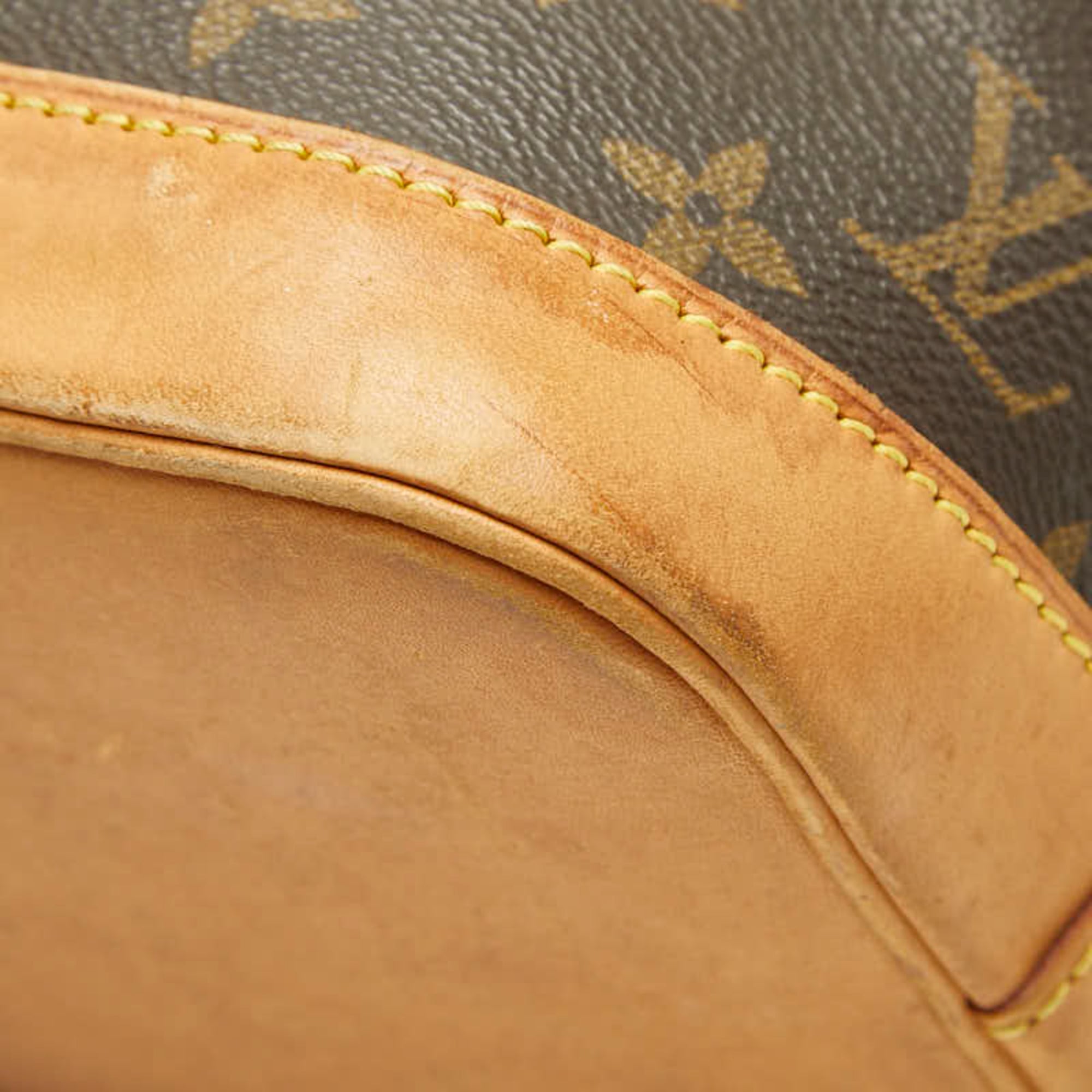 Louis Vuitton Brown Pvc Leather Handbag (Pre-Owned)