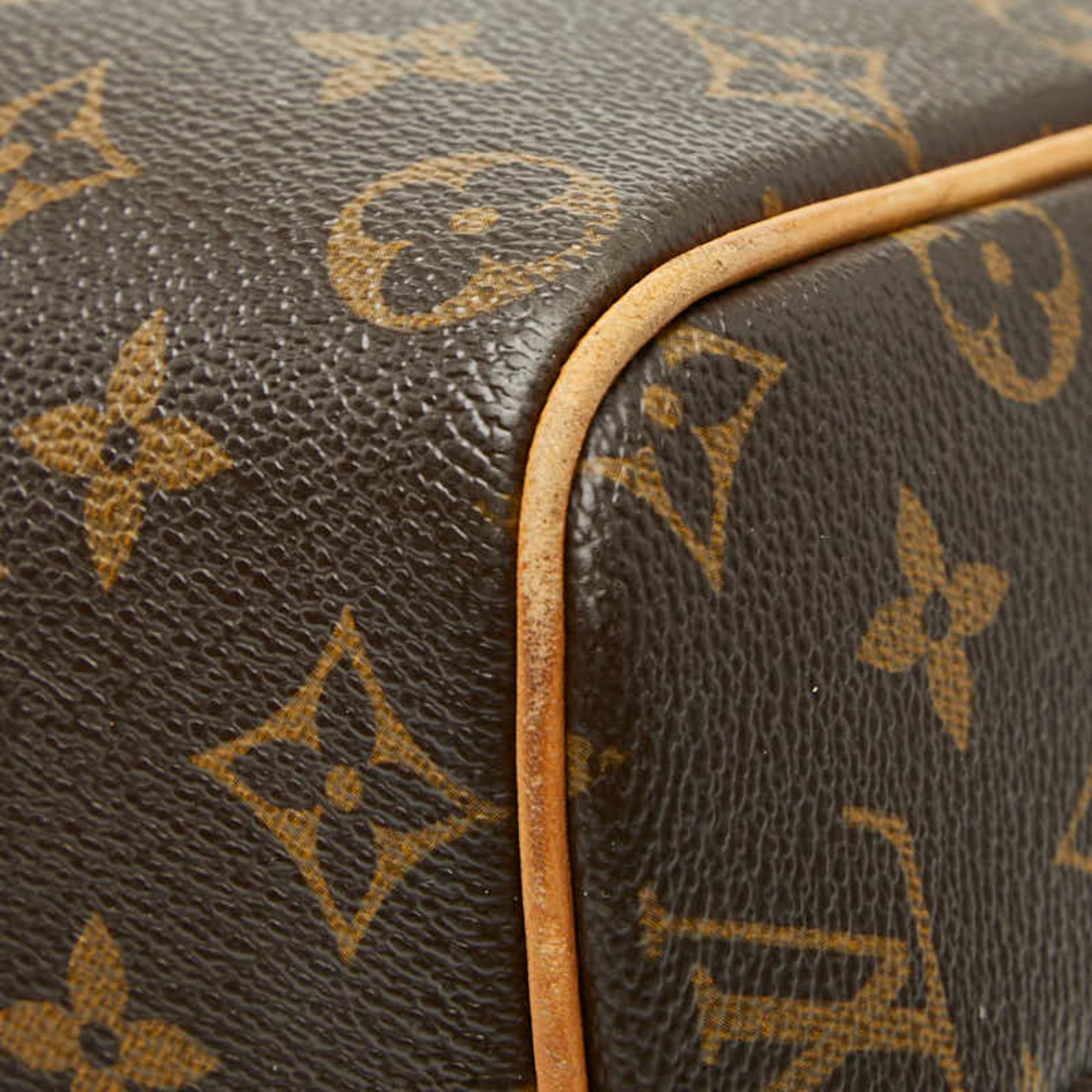 Louis Vuitton Brown Pvc Leather Handbag (Pre-Owned)
