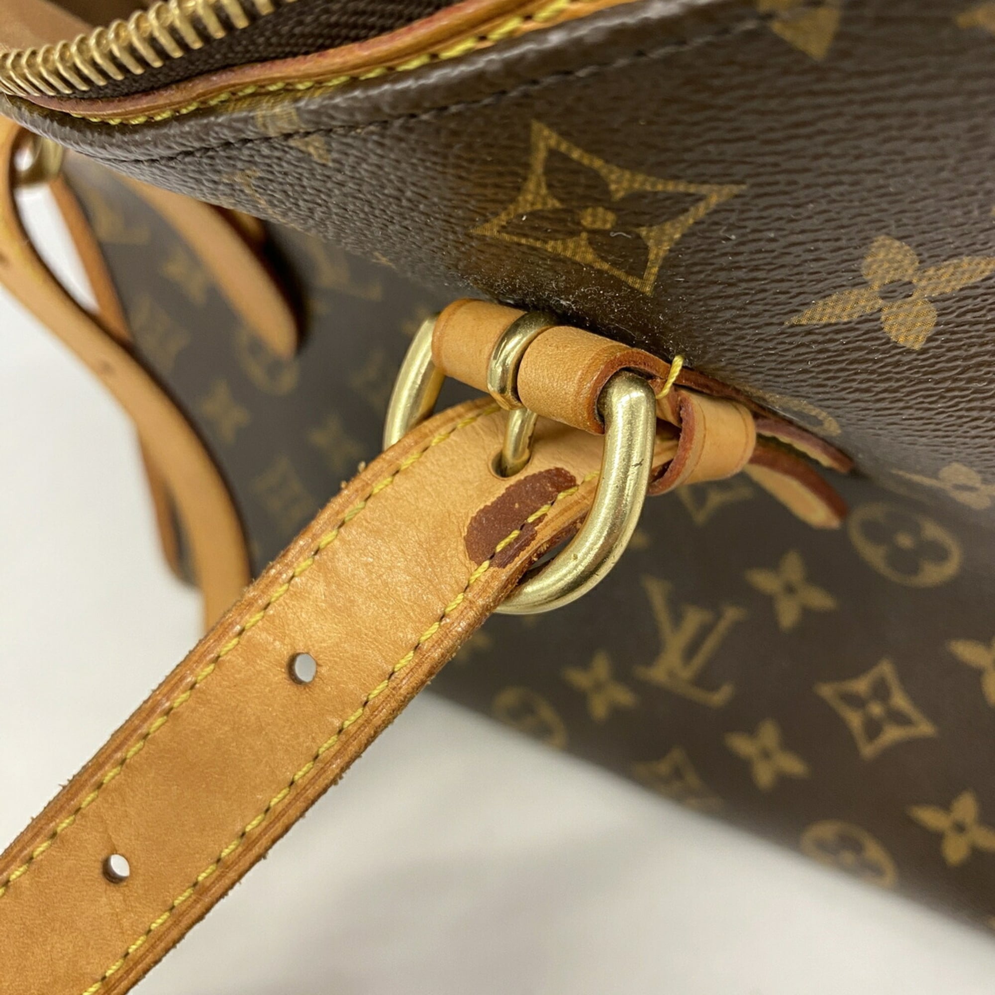 Louis Vuitton Brown Tote Bag (Pre-Owned)