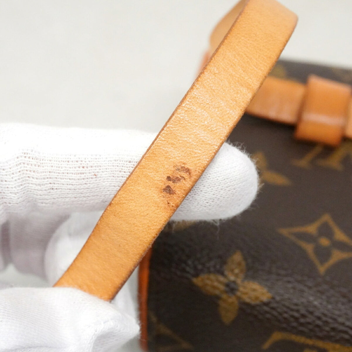 Louis Vuitton Brown Fanny Pack (Pre-Owned)