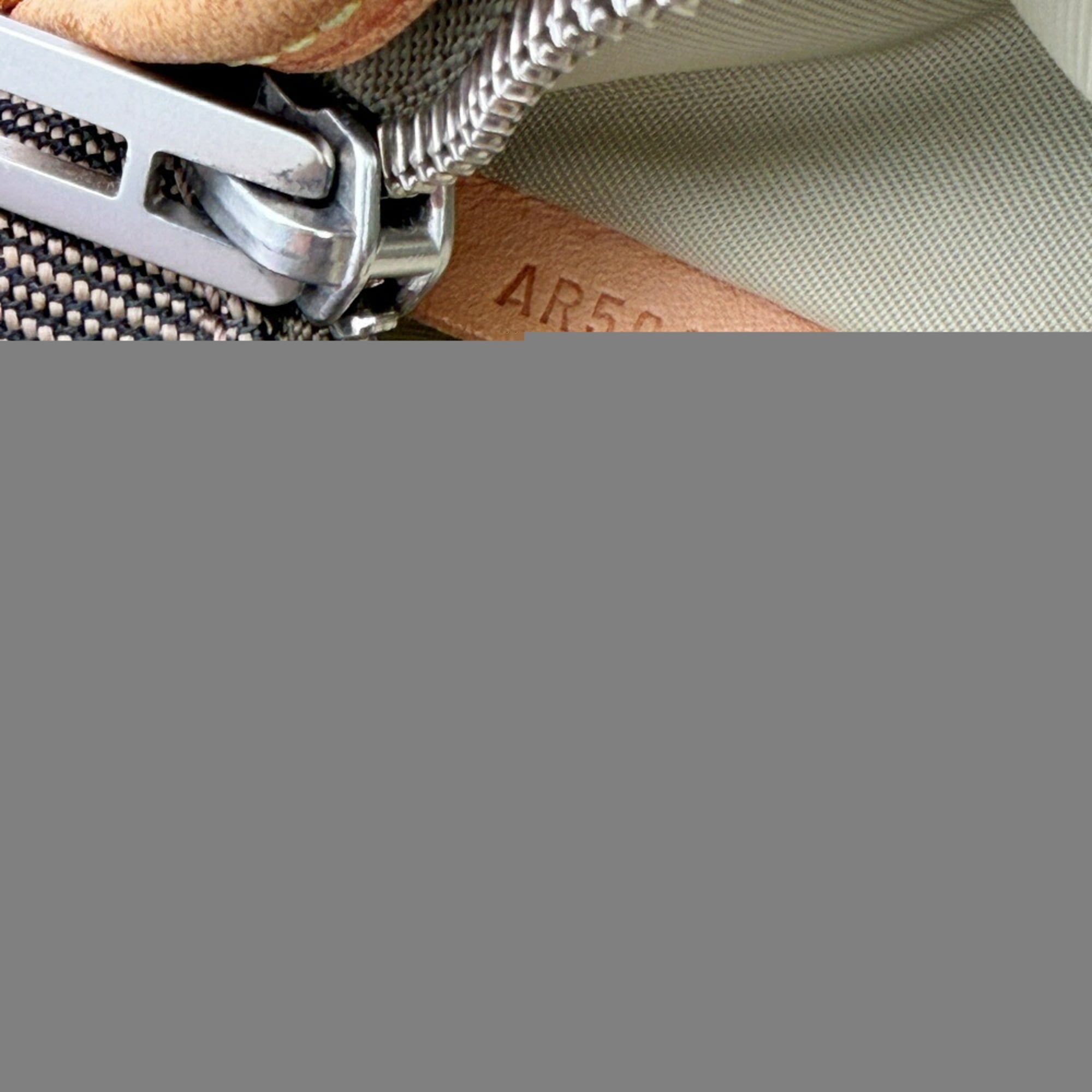 Louis Vuitton Damier Geant Earth Damier Geant Fanny Pack (Pre-Owned)