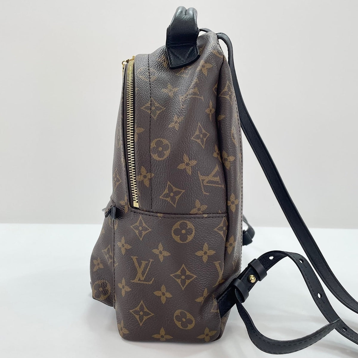 Louis Vuitton Brown Backpack (Pre-Owned)