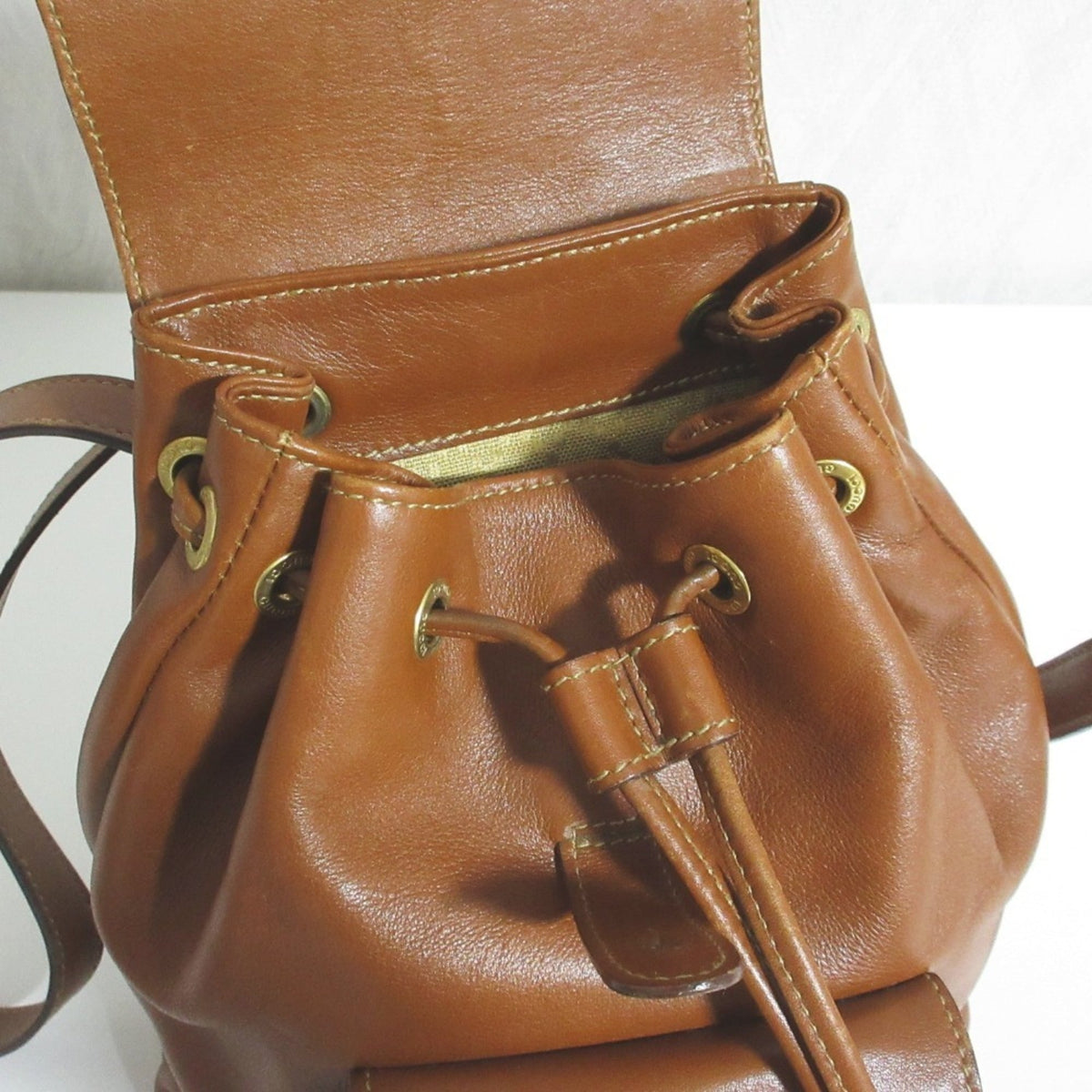 Gucci Brown Backpack (Pre-Owned)