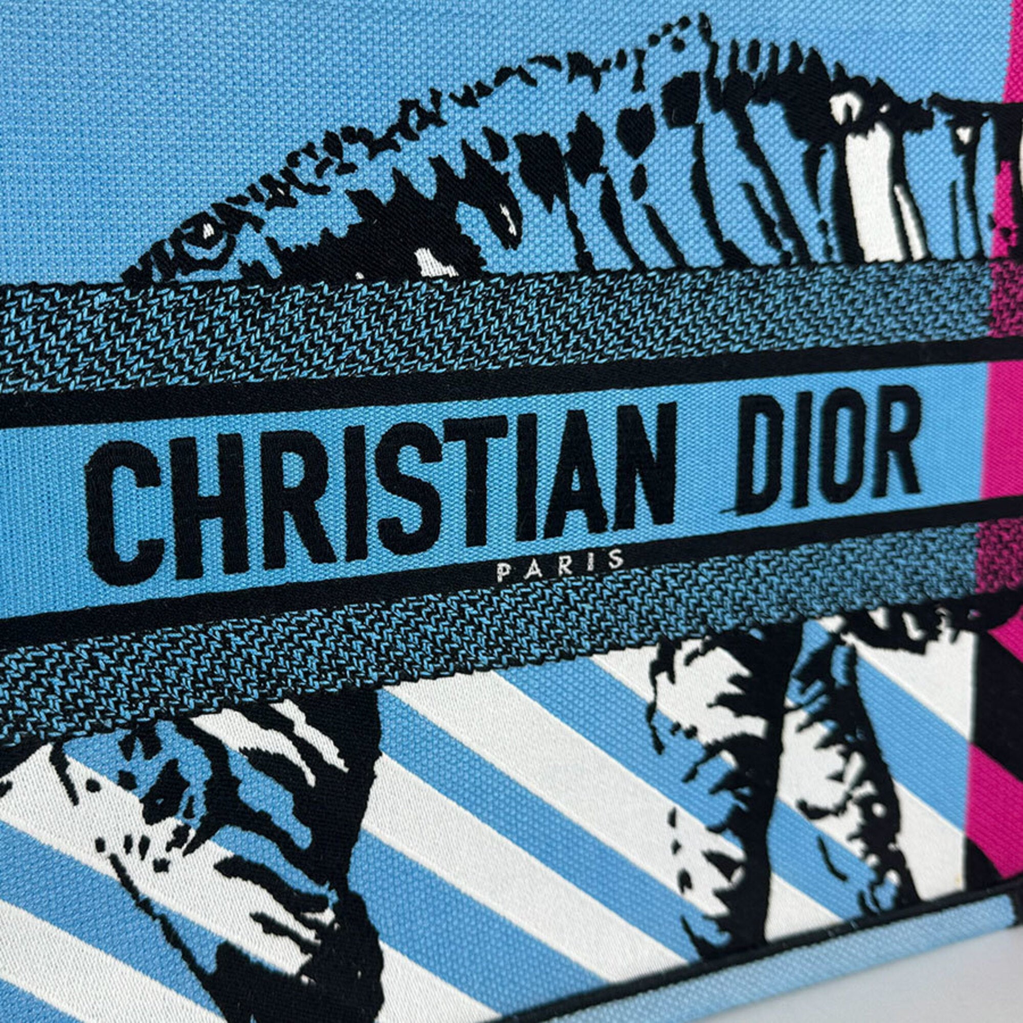 Christian Dior Black Blue Pink Canvas Handbag (Pre-Owned)