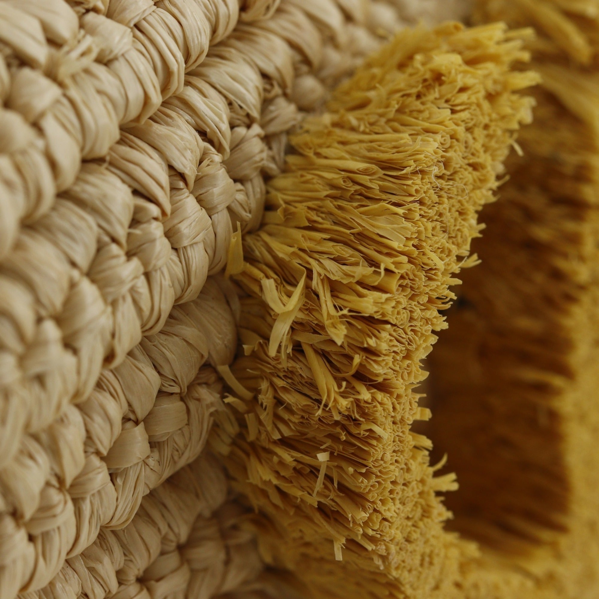 Loewe Beige Yellow Raffia Leather Basket Handbag (Pre-Owned)