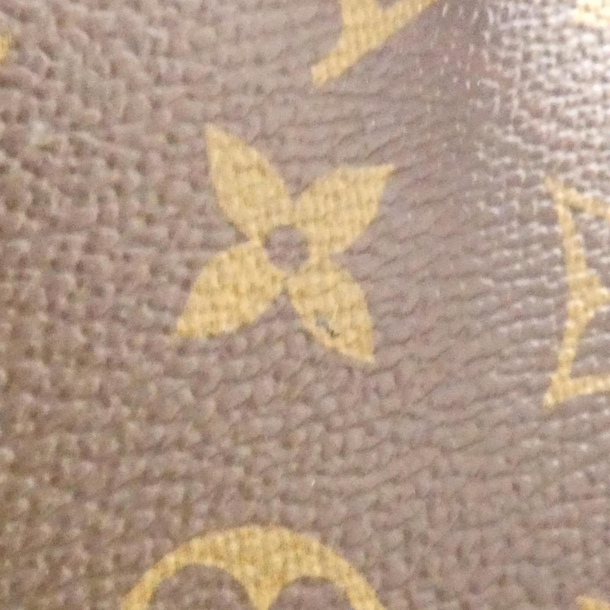 Louis Vuitton Black Marron Coated Canvas Leather Handbag (Pre-Owned)