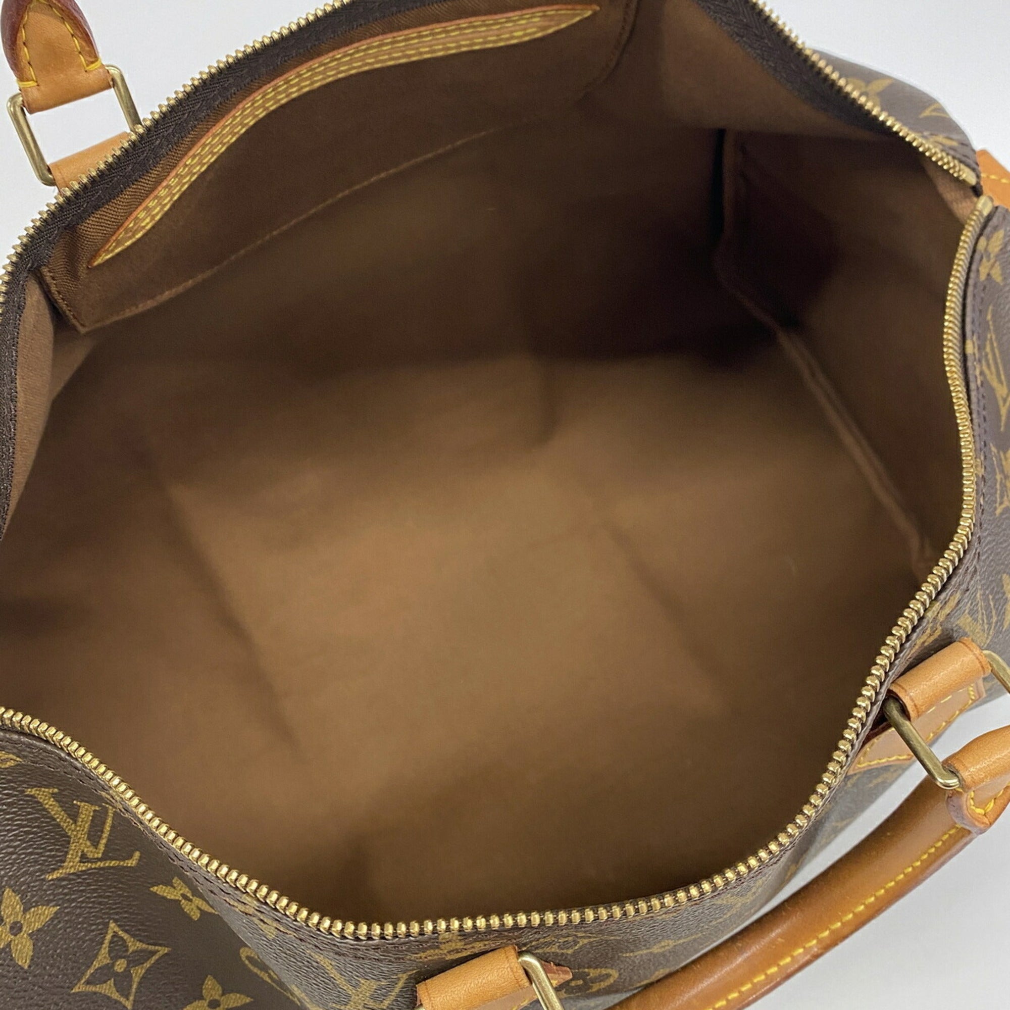 Louis Vuitton Brown Handbag (Pre-Owned)