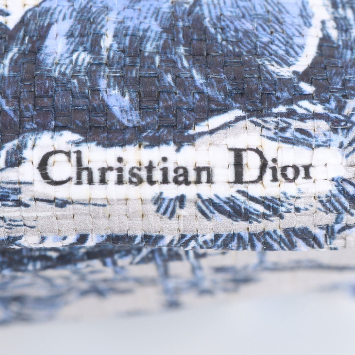 Christian Dior Blue Tote Bag (Pre-Owned)