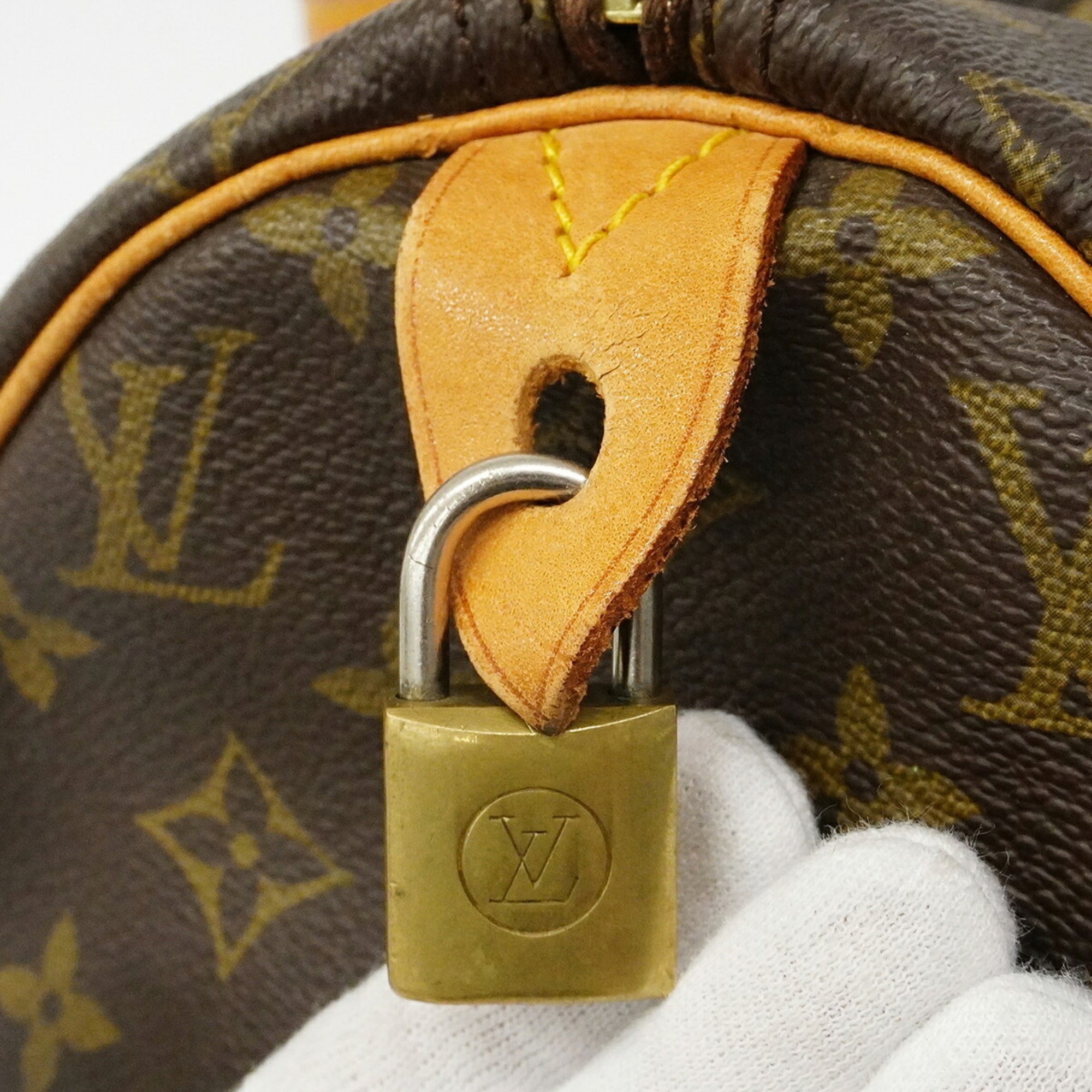 Louis Vuitton Brown Handbag (Pre-Owned)