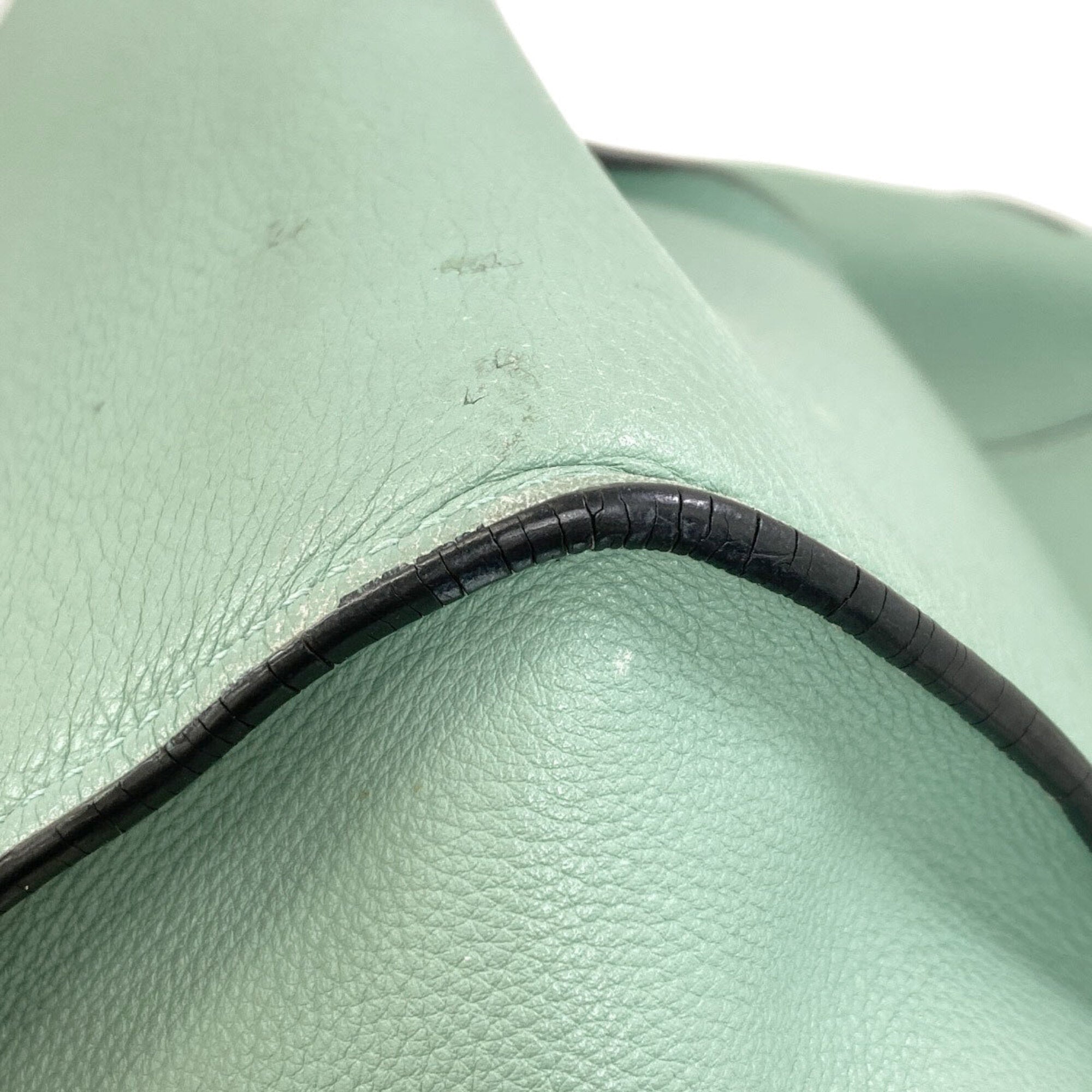 Loewe Light Green Leather Handbag Pouch (Pre-Owned)