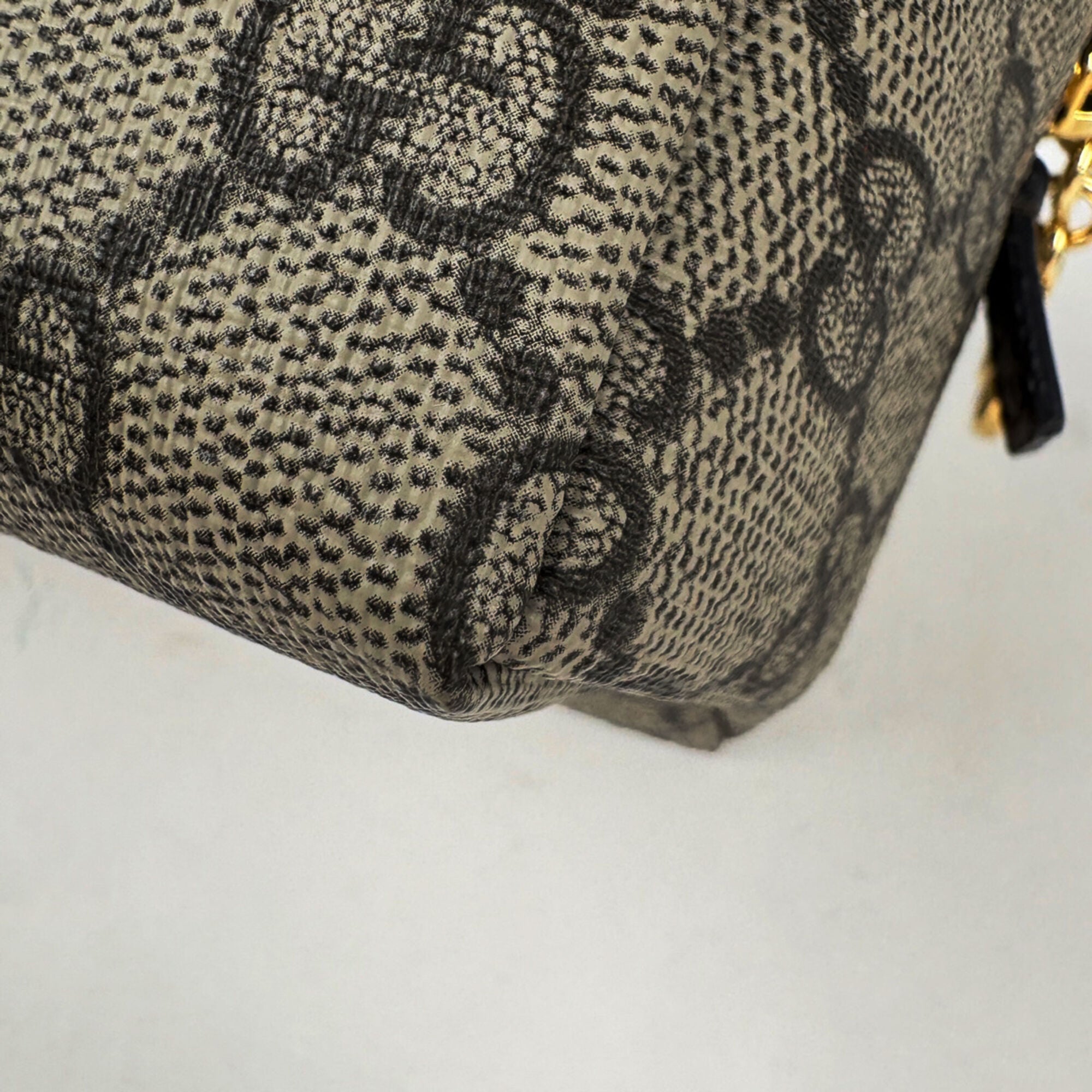 Gucci Beige Brown Coated Canvas Pouch (Pre-Owned)