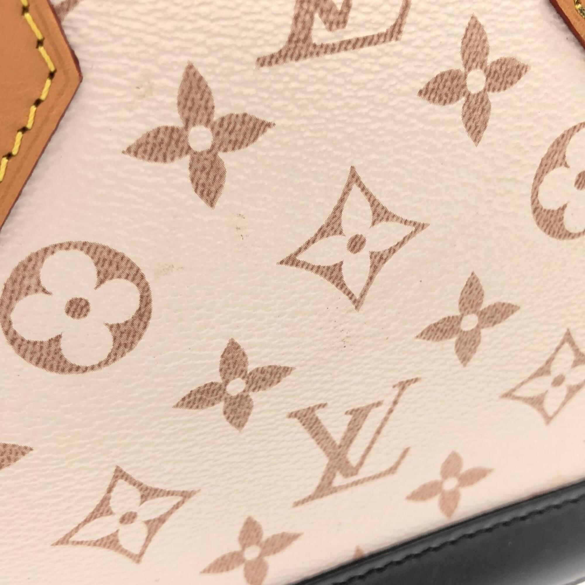 Louis Vuitton Dune Coated Canvas Handbag (Pre-Owned)