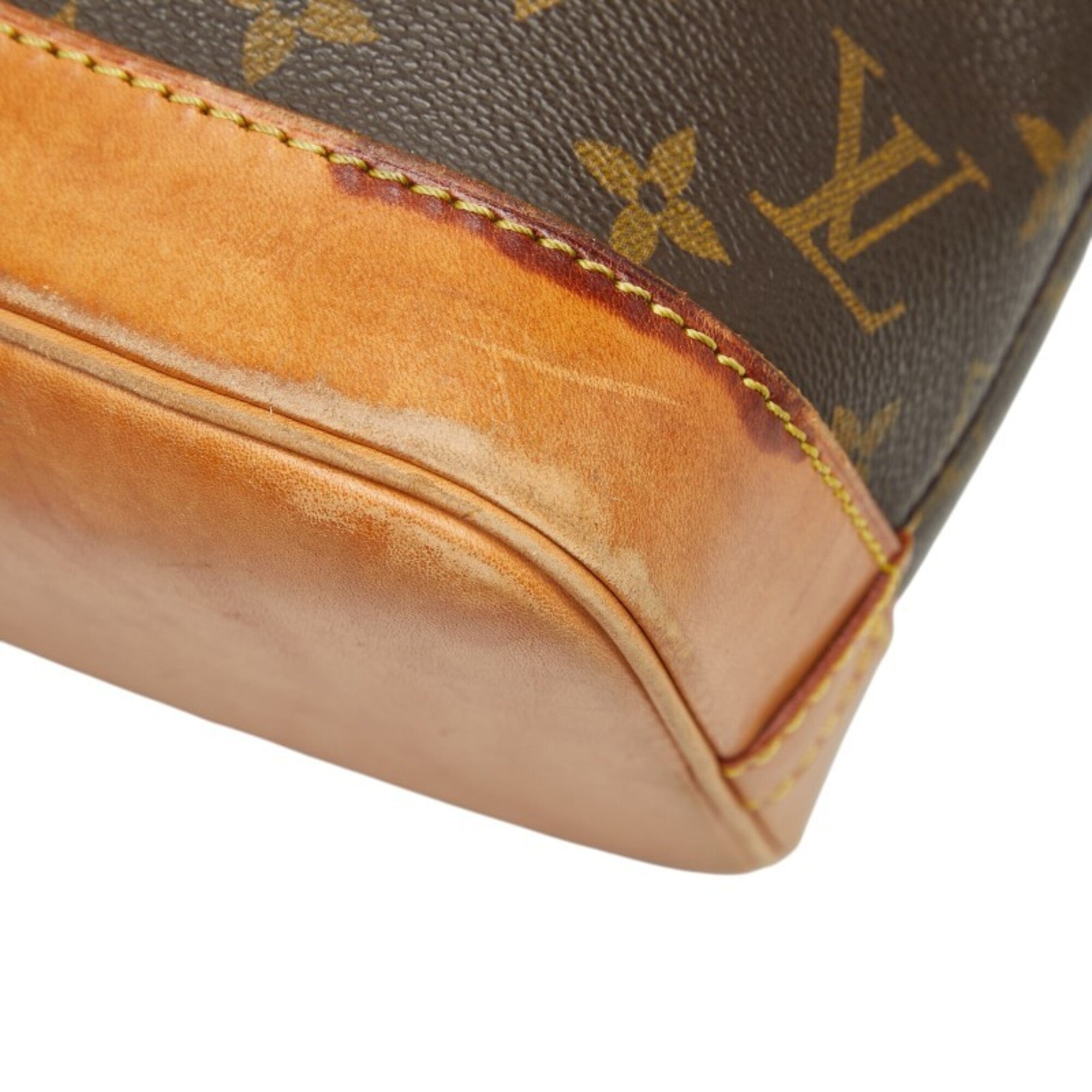 Louis Vuitton Brown Monogram Pvc Handbag (Pre-Owned)