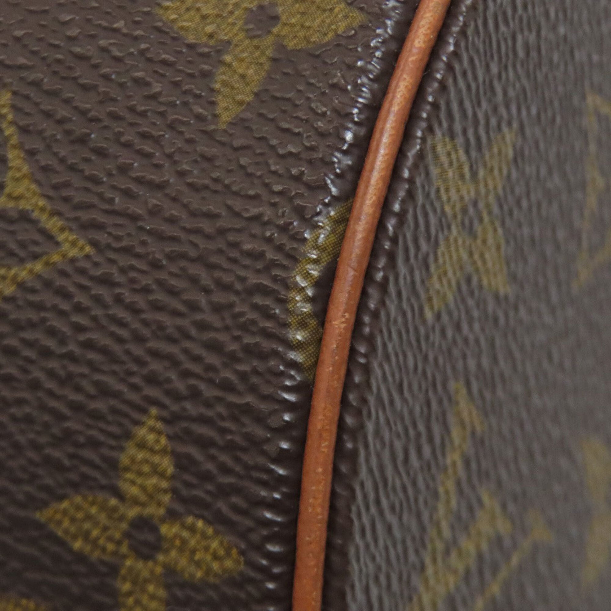 Louis Vuitton Monogram Monogram Handbag Pouch (Pre-Owned)