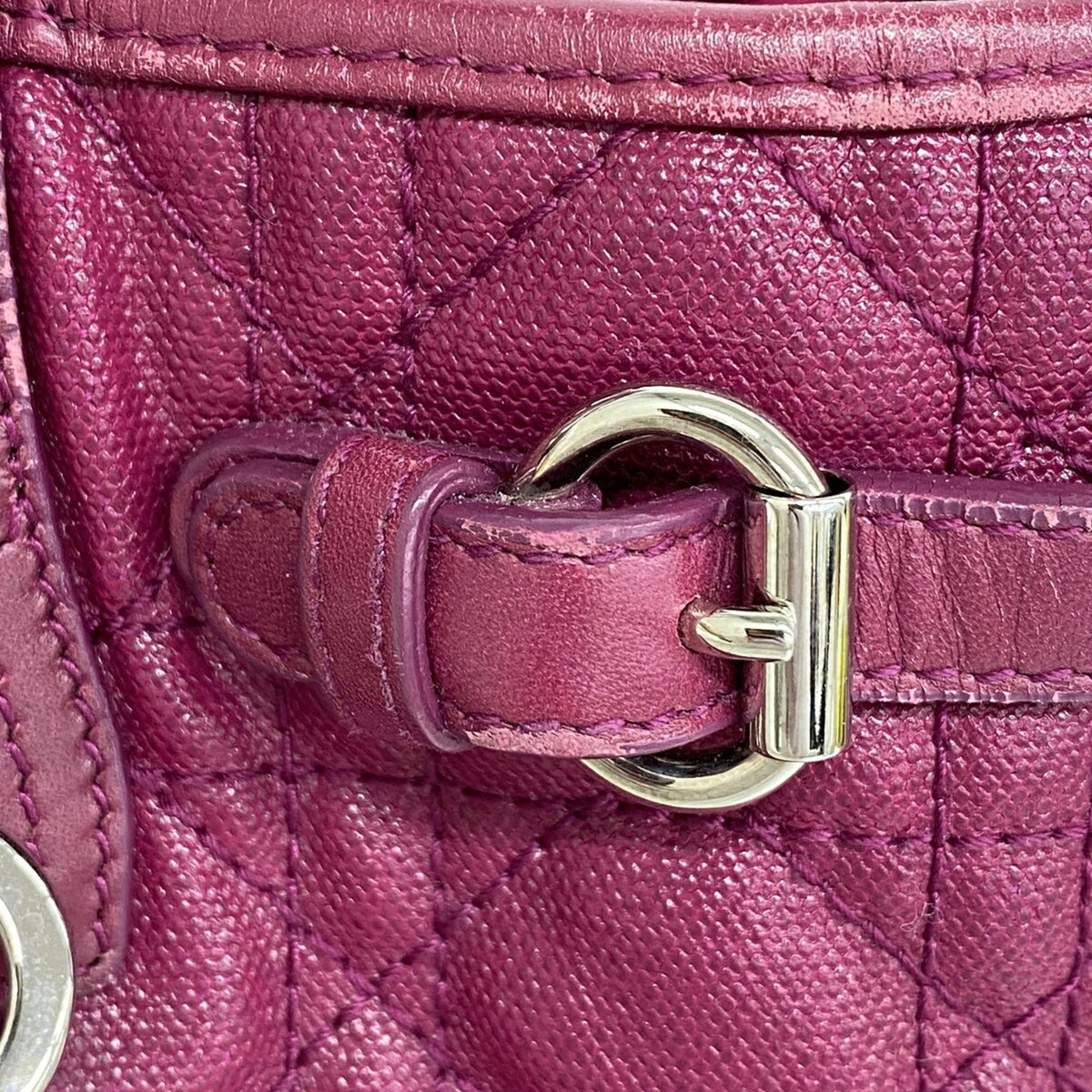 Christian Dior Purple Pvc Tote Bag (Pre-Owned)