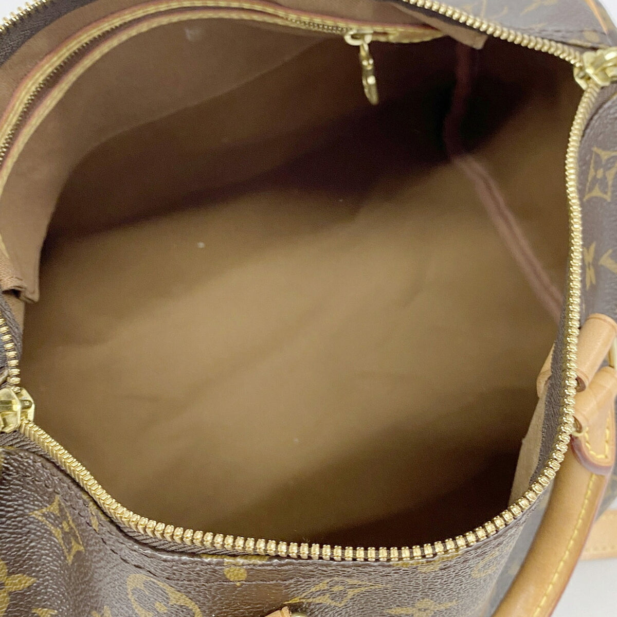 Louis Vuitton Brown Handbag (Pre-Owned)