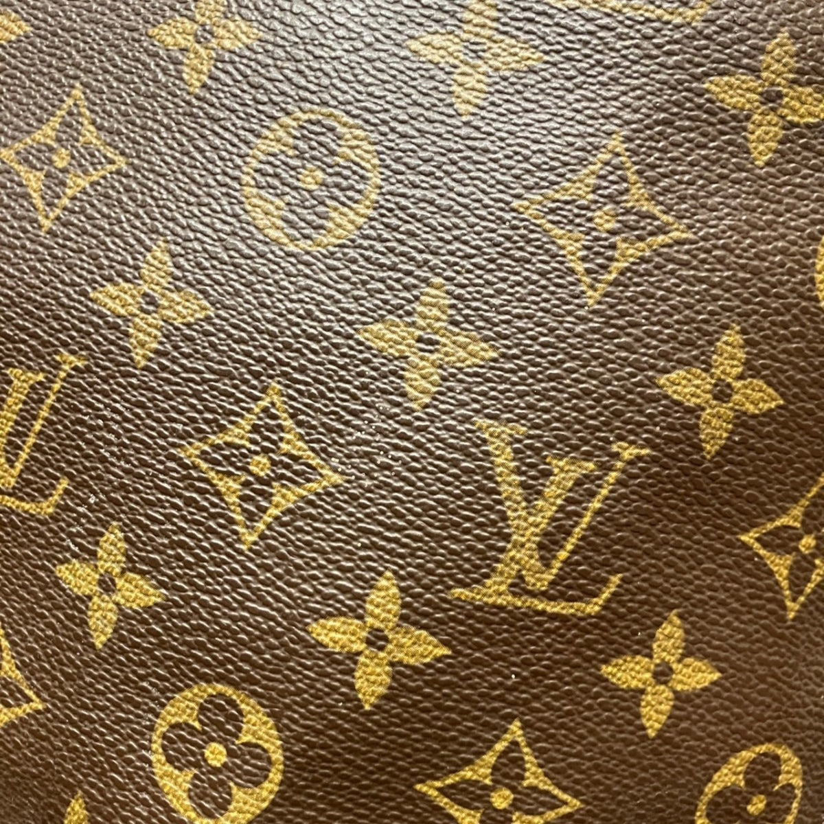 Louis Vuitton Monogram Pvc Tote Bag (Pre-Owned)